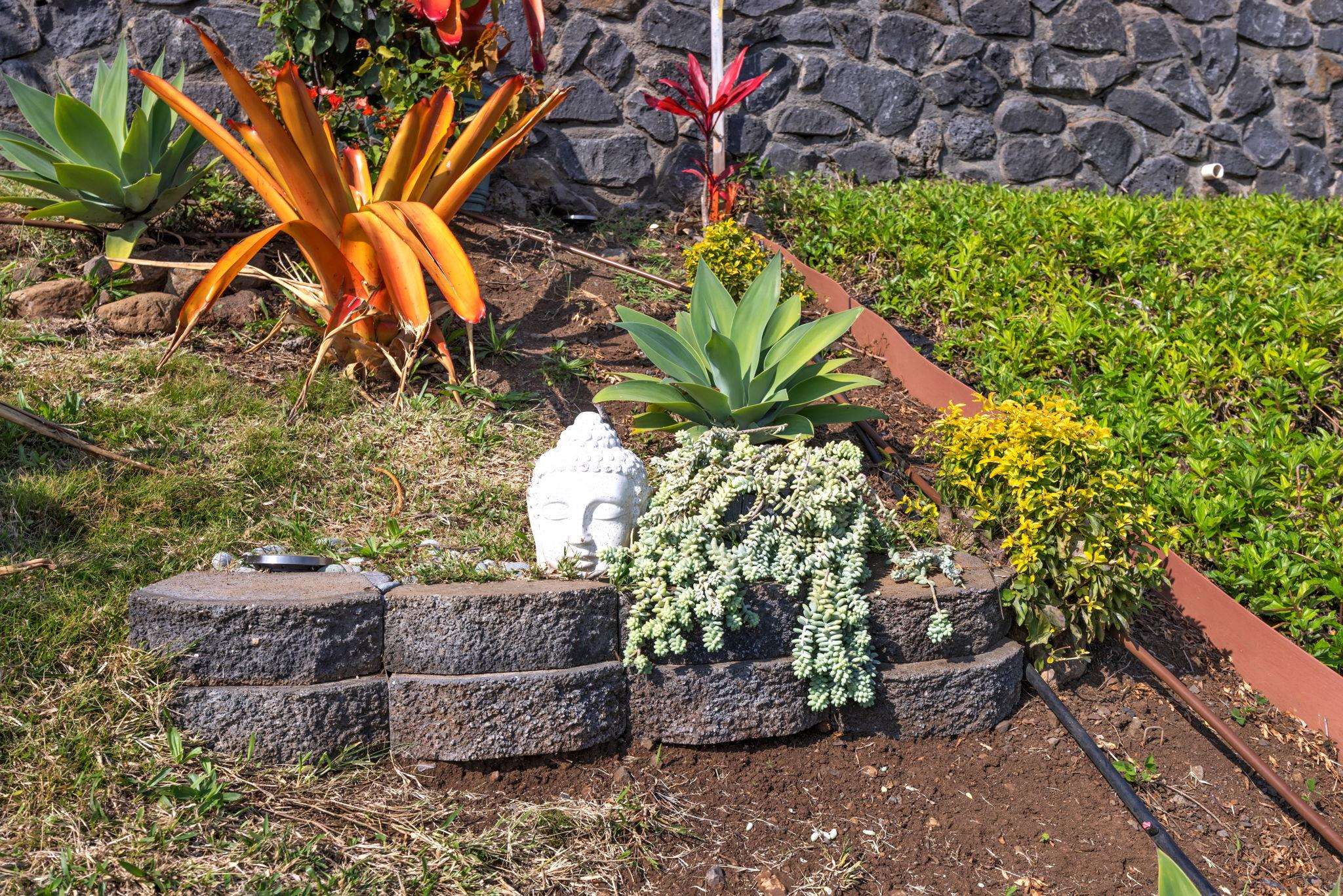 35  Maka Hou Loop Cottages At Kehalani, Wailuku home - photo 45 of 50