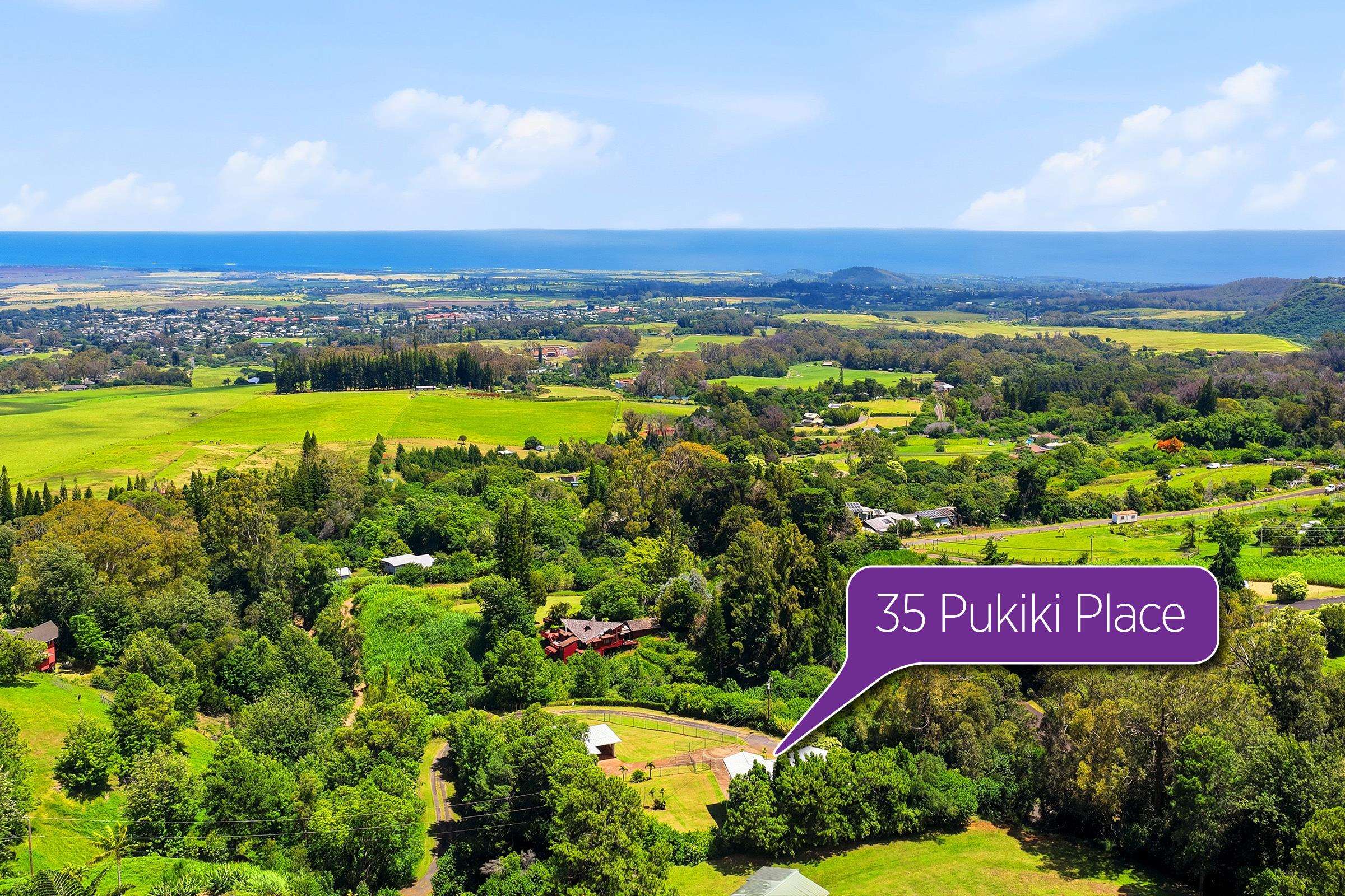 35  Pukiki Pl , Makawao/Olinda/Haliimaile home - photo 21 of 50