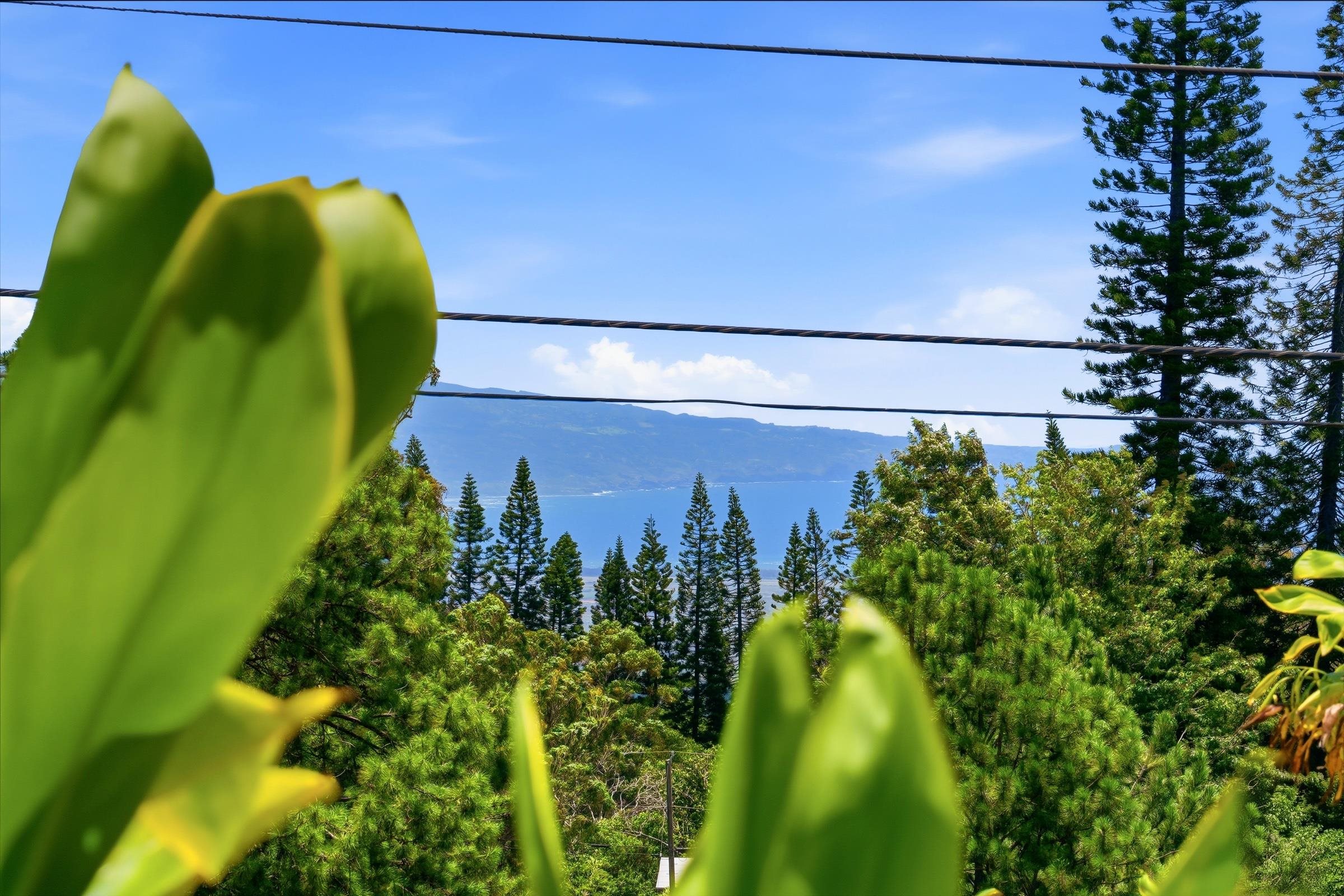 35  Pukiki Pl , Makawao/Olinda/Haliimaile home - photo 31 of 50
