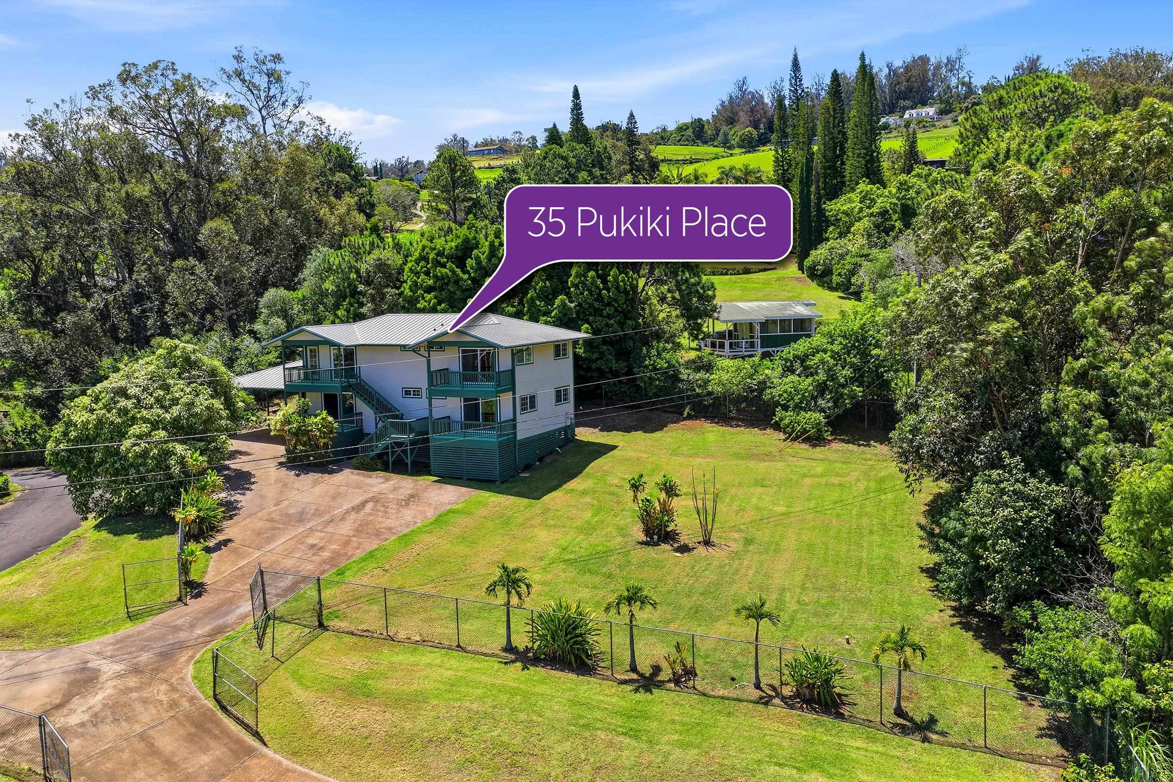 35  Pukiki Pl , Makawao/Olinda/Haliimaile home - photo 44 of 50