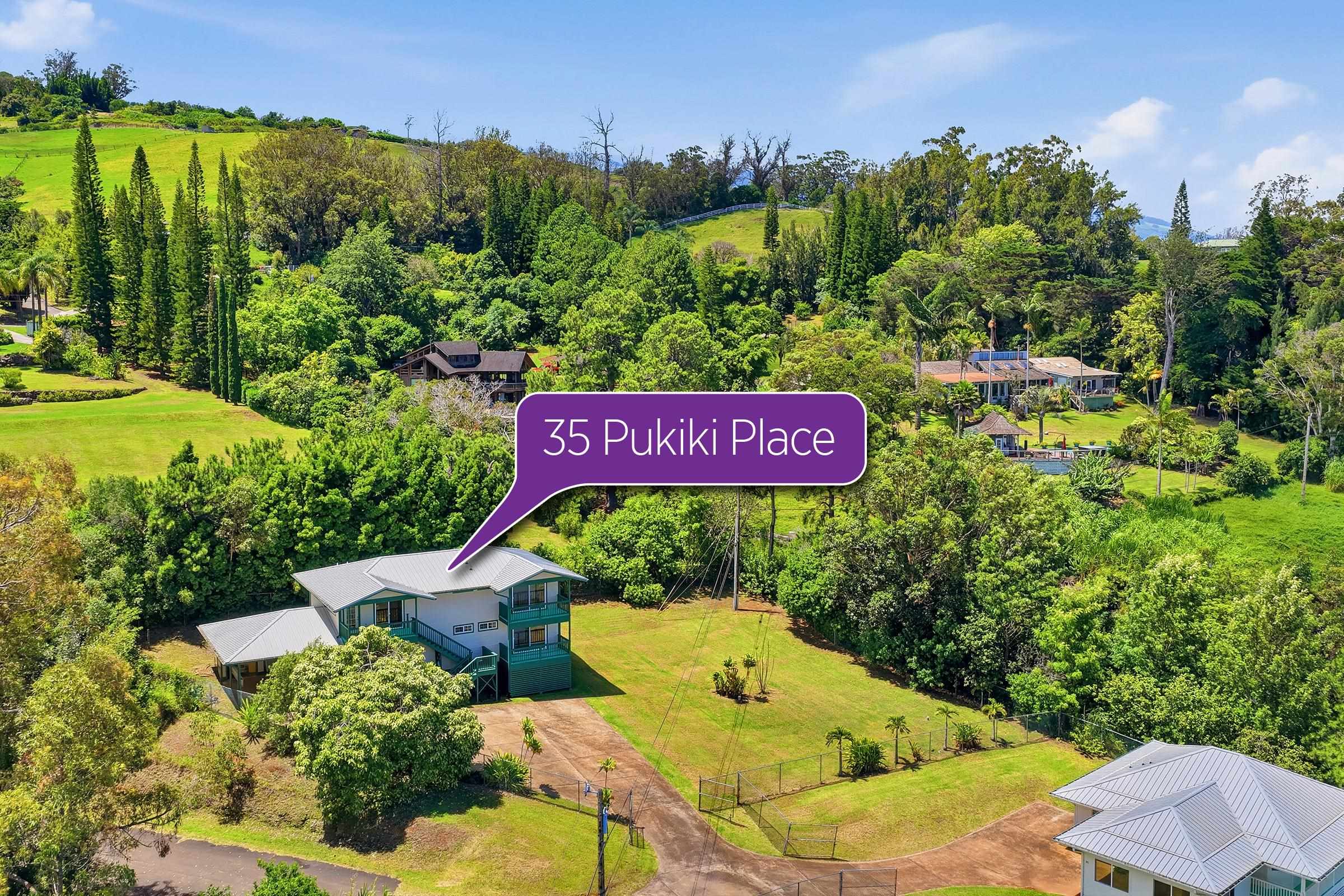 35  Pukiki Pl , Makawao/Olinda/Haliimaile home - photo 50 of 50