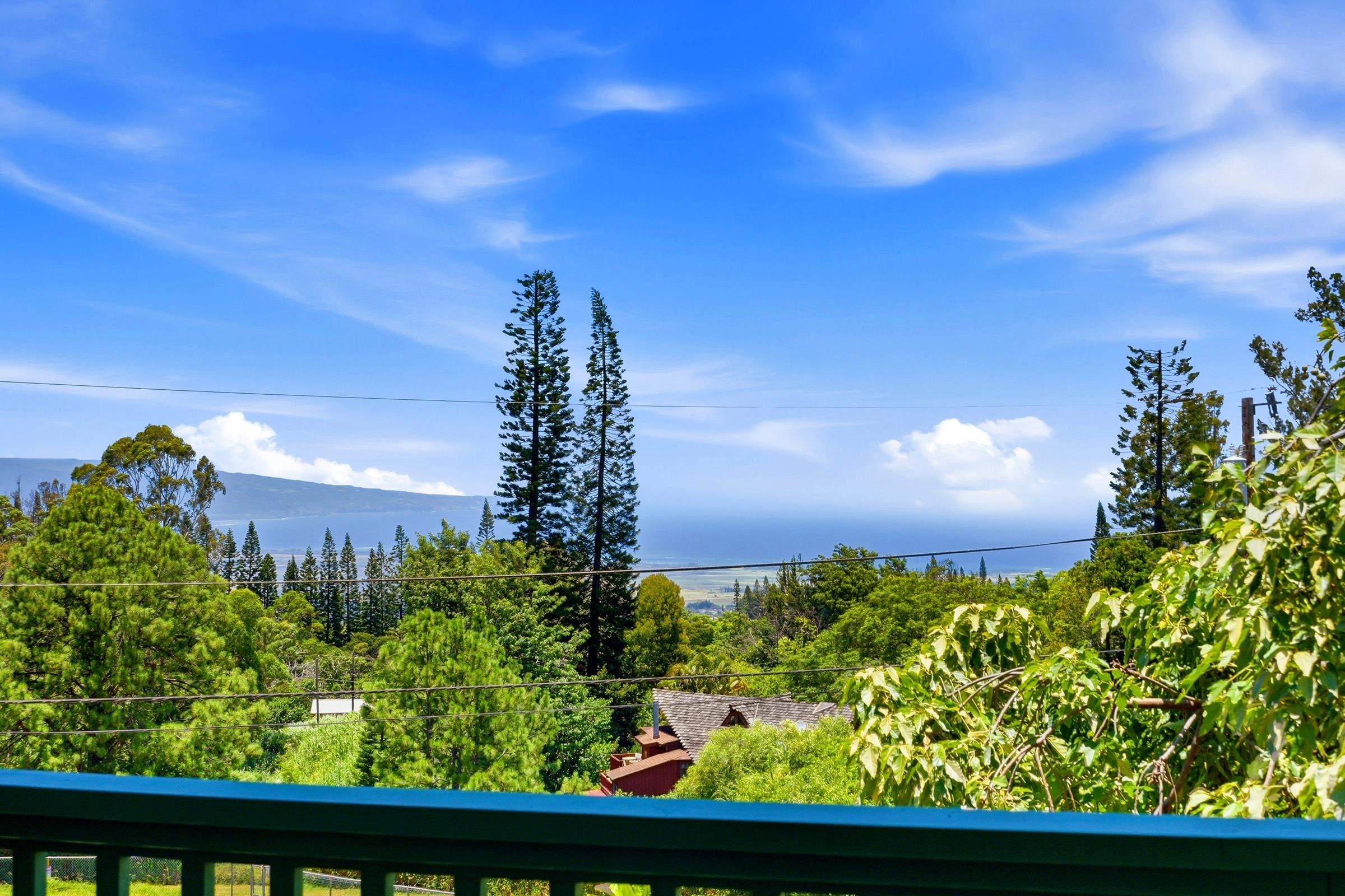 35  Pukiki Pl , Makawao/Olinda/Haliimaile home - photo 6 of 50