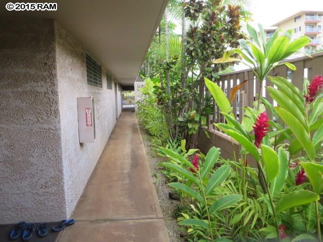 Kalama Terrace condo # P-105, Kihei, Hawaii - photo 3 of 22