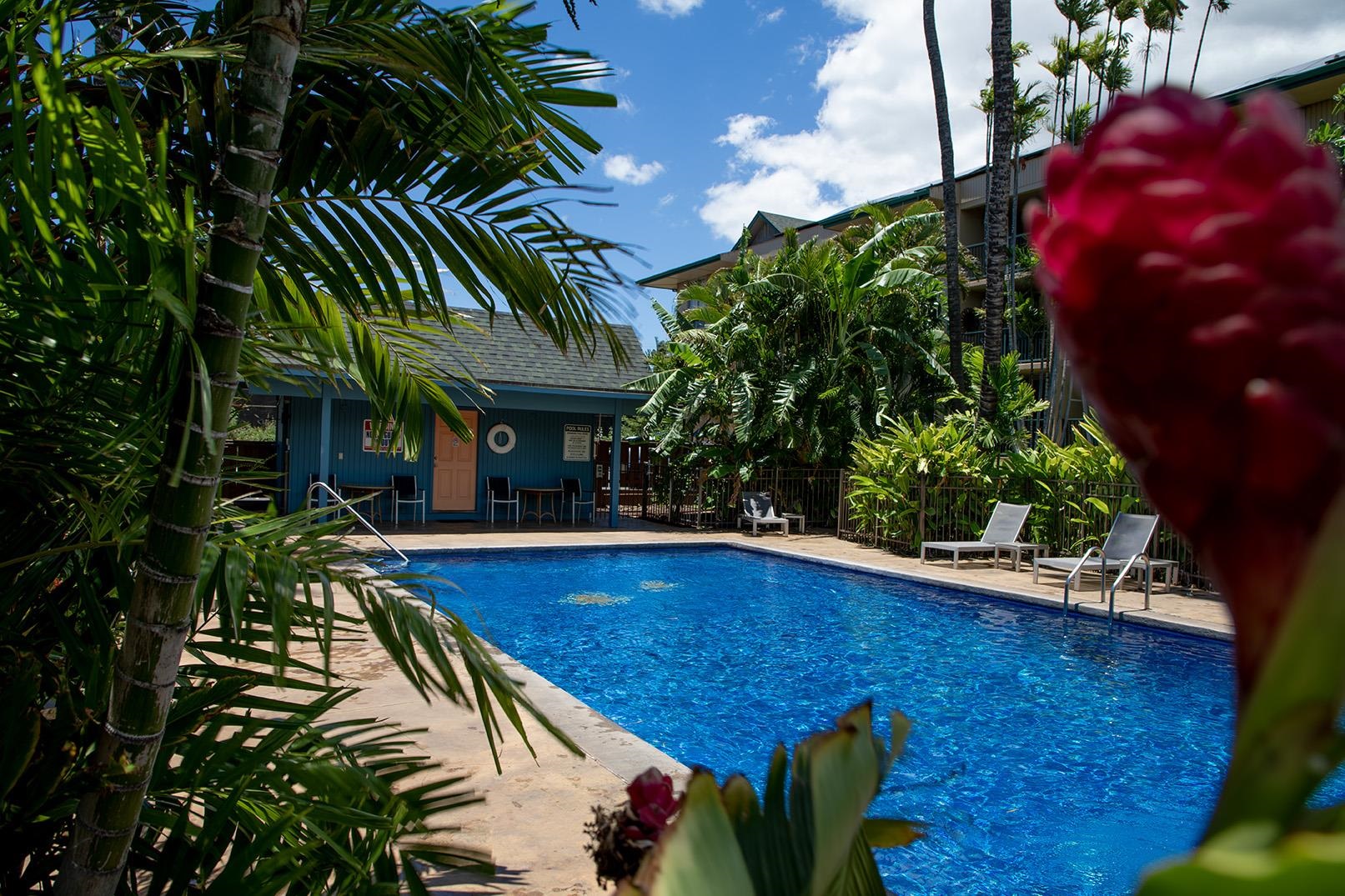 Kalama Terrace condo # L-102, Kihei, Hawaii - photo 2 of 31