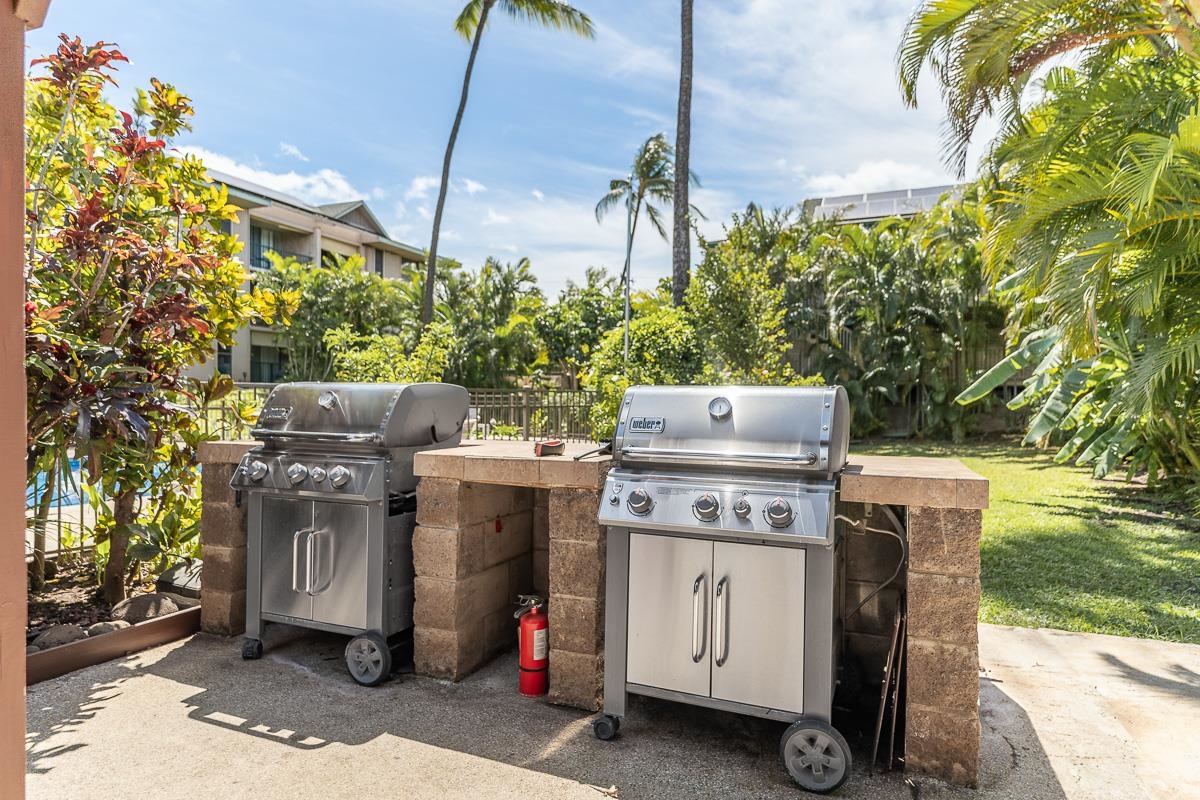 Kalama Terrace condo # L106, Kihei, Hawaii - photo 30 of 38