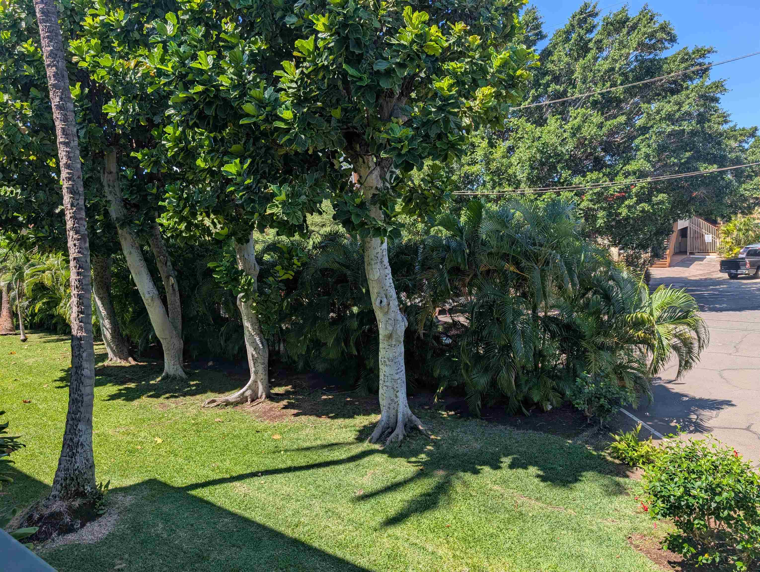 Kalama Terrace condo # L208, Kihei, Hawaii - photo 24 of 41