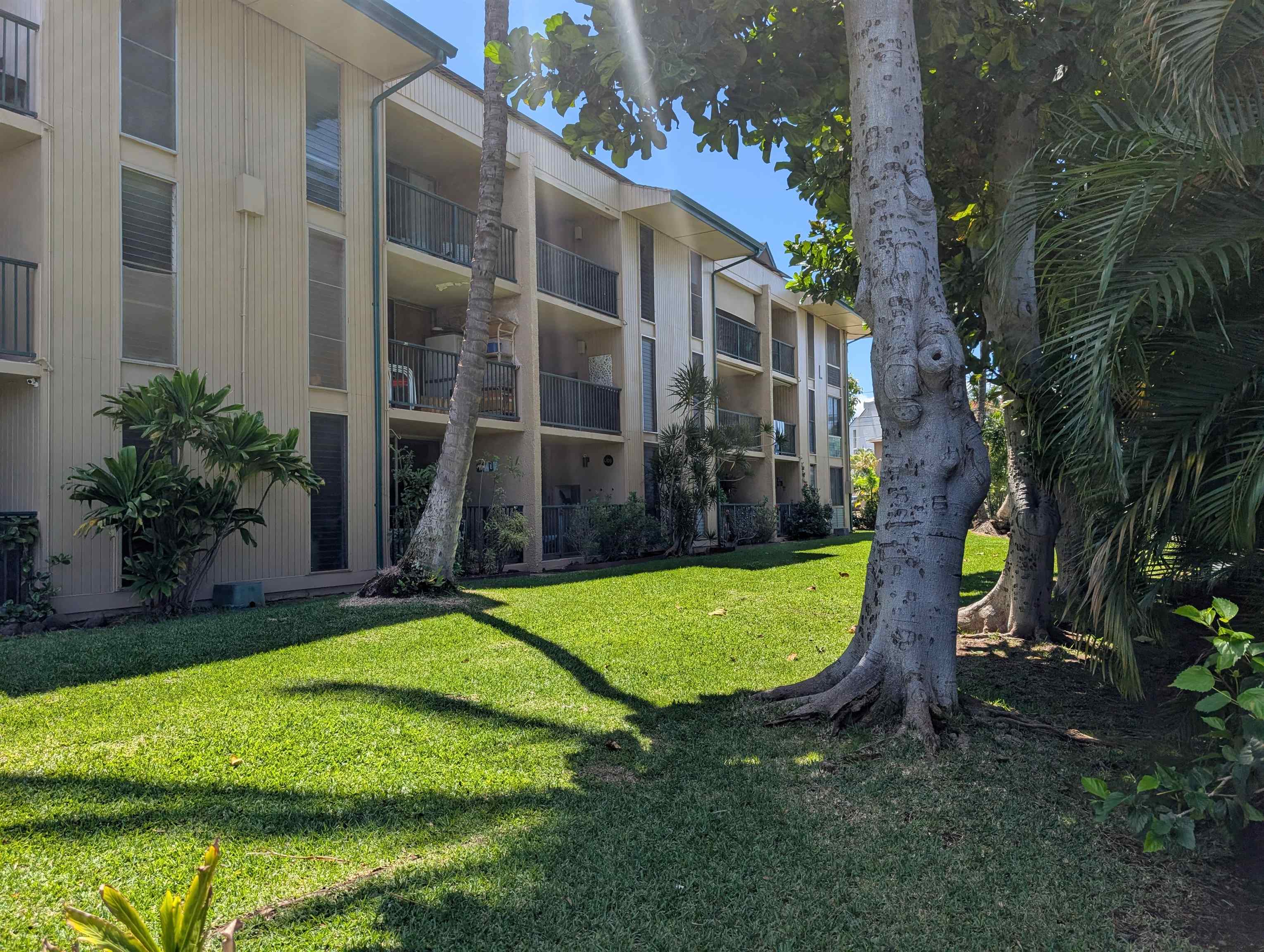 Kalama Terrace condo # L208, Kihei, Hawaii - photo 35 of 37