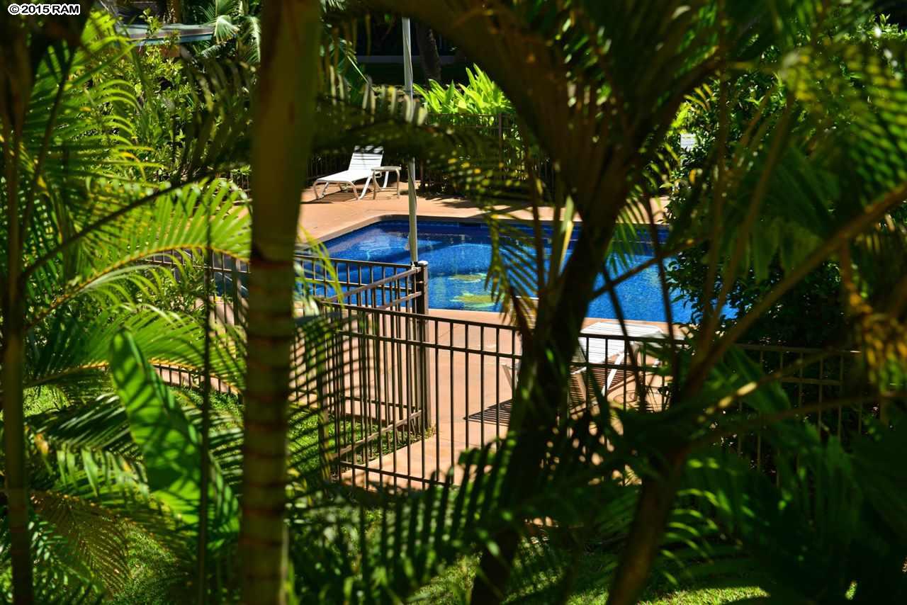 Kalama Terrace condo # L209, Kihei, Hawaii - photo 17 of 29