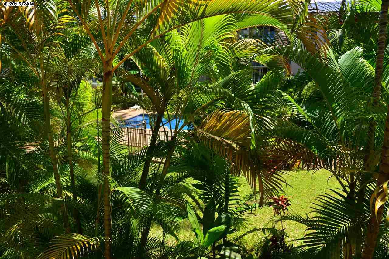 Kalama Terrace condo # L209, Kihei, Hawaii - photo 18 of 29