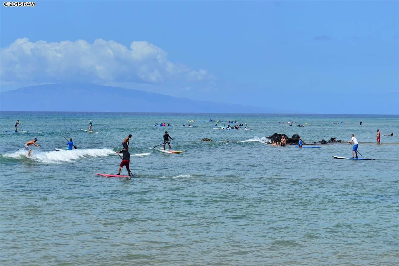 Kalama Terrace condo # L209, Kihei, Hawaii - photo 29 of 29