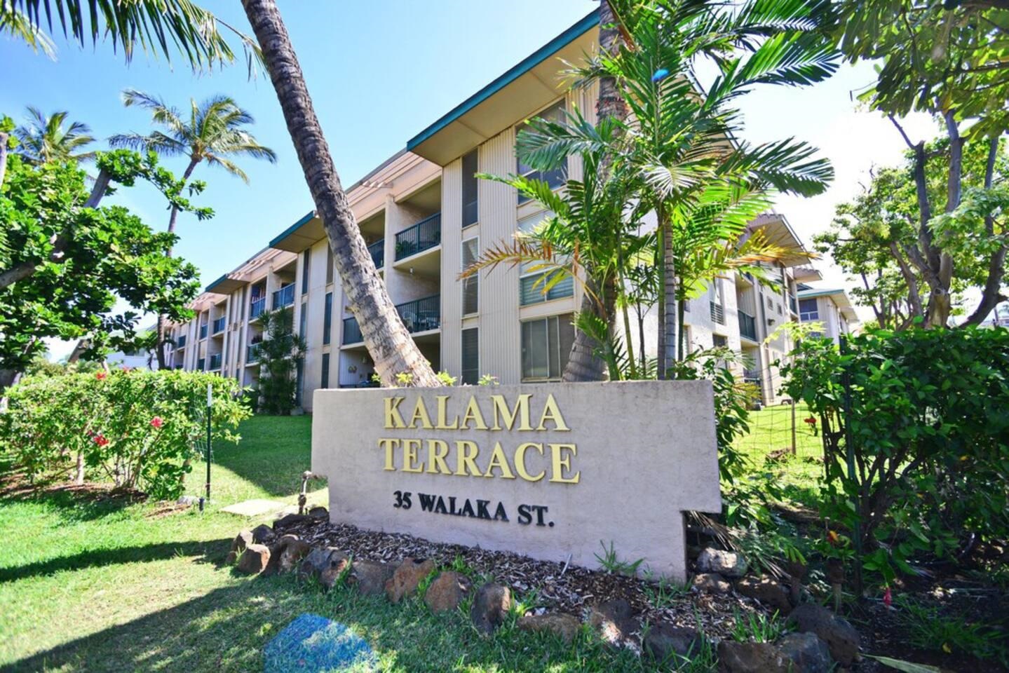 Kalama Terrace condo # L209, Kihei, Hawaii - photo 34 of 50