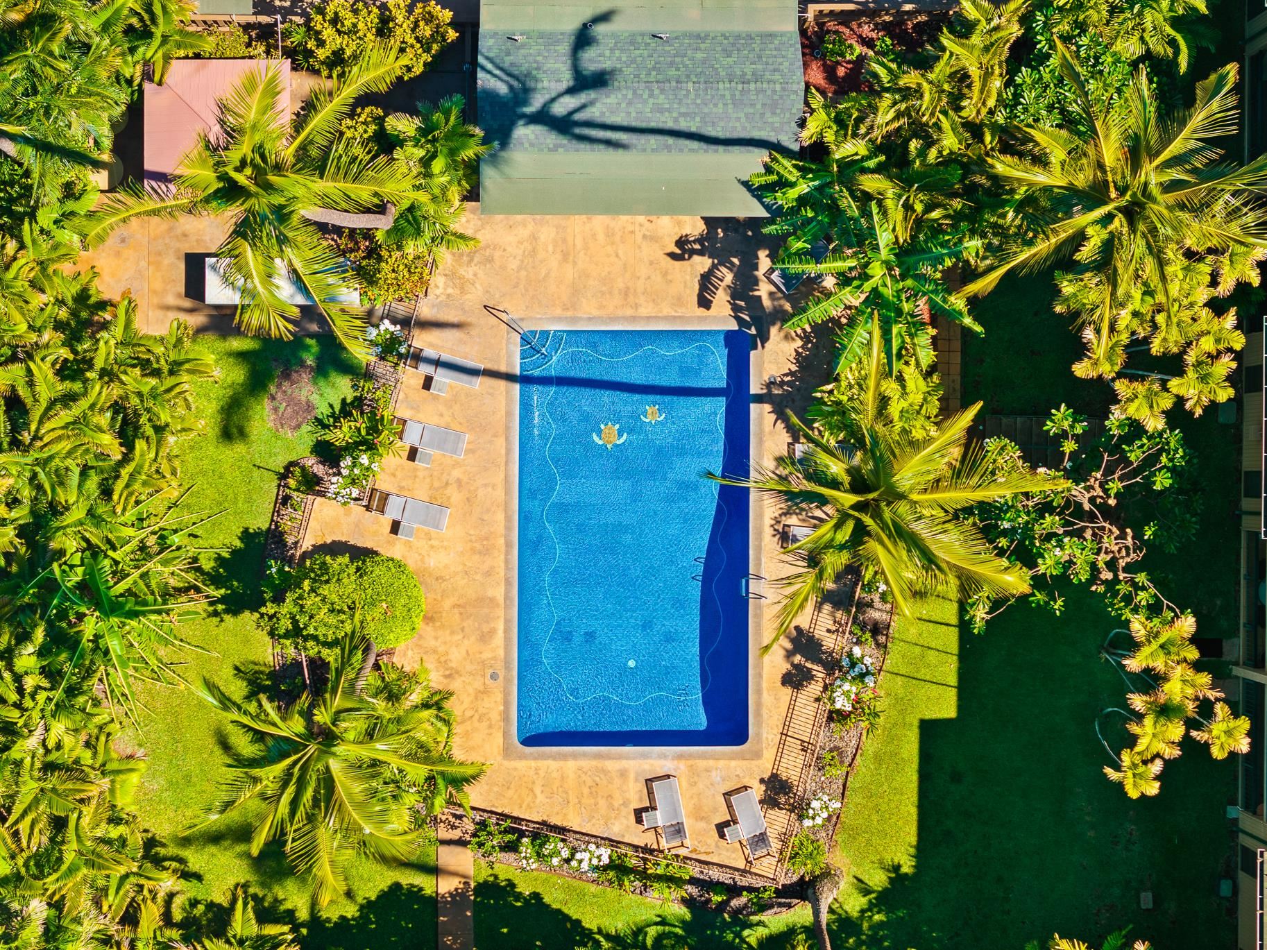 Kalama Terrace condo # L210, Kihei, Hawaii - photo 3 of 26