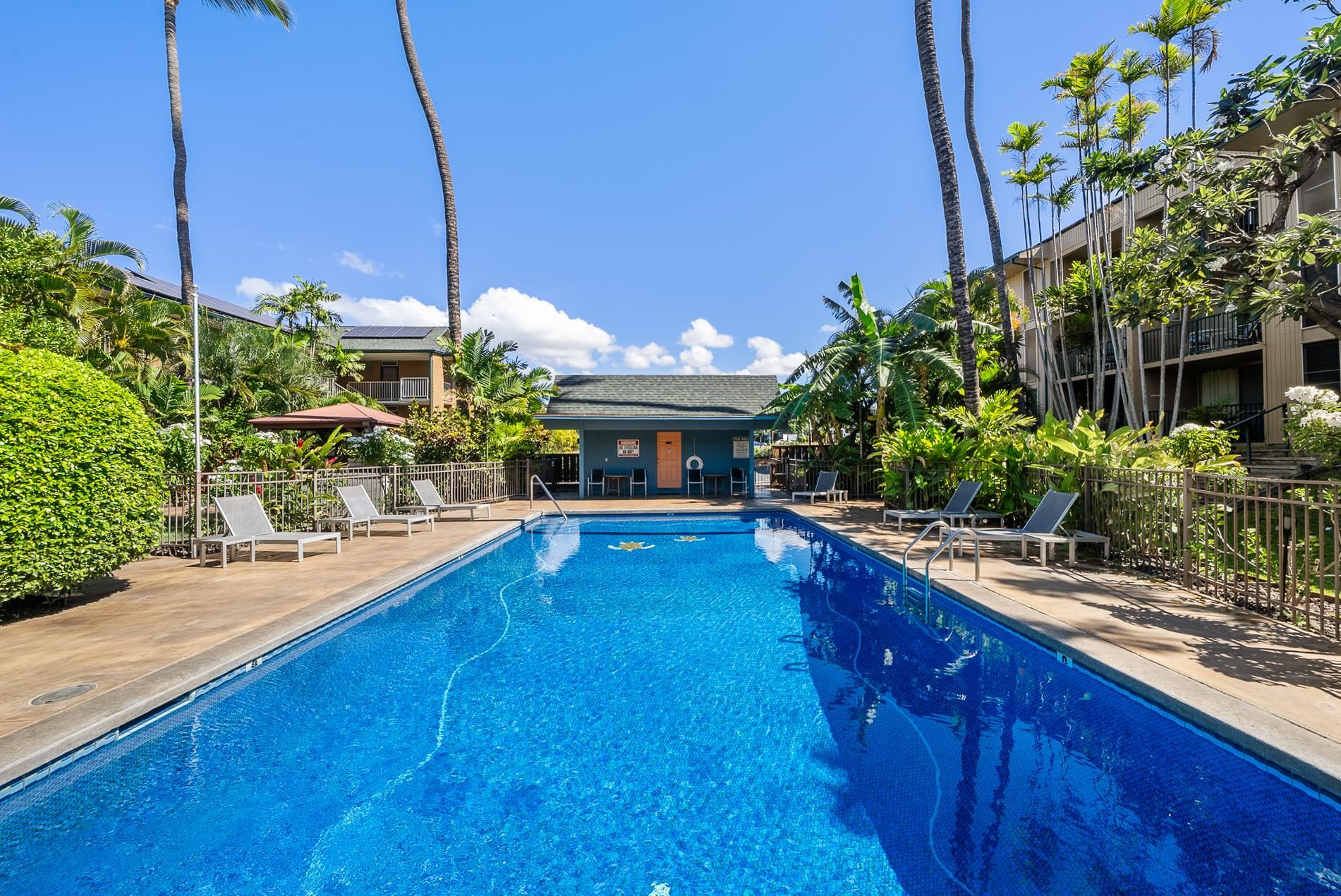 Kalama Terrace condo # L210, Kihei, Hawaii - photo 22 of 26