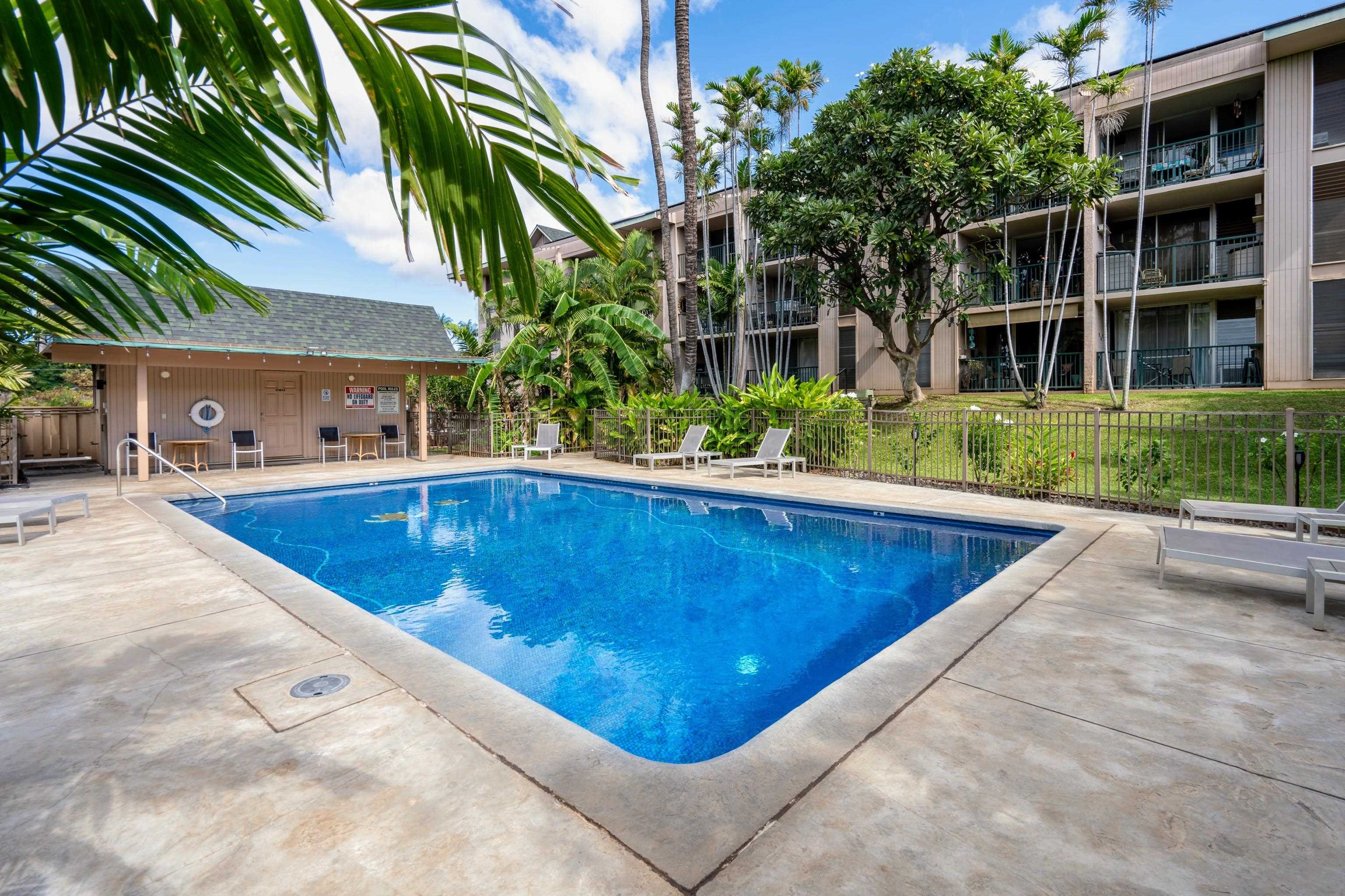 Kalama Terrace condo # P202, Kihei, Hawaii - photo 27 of 45