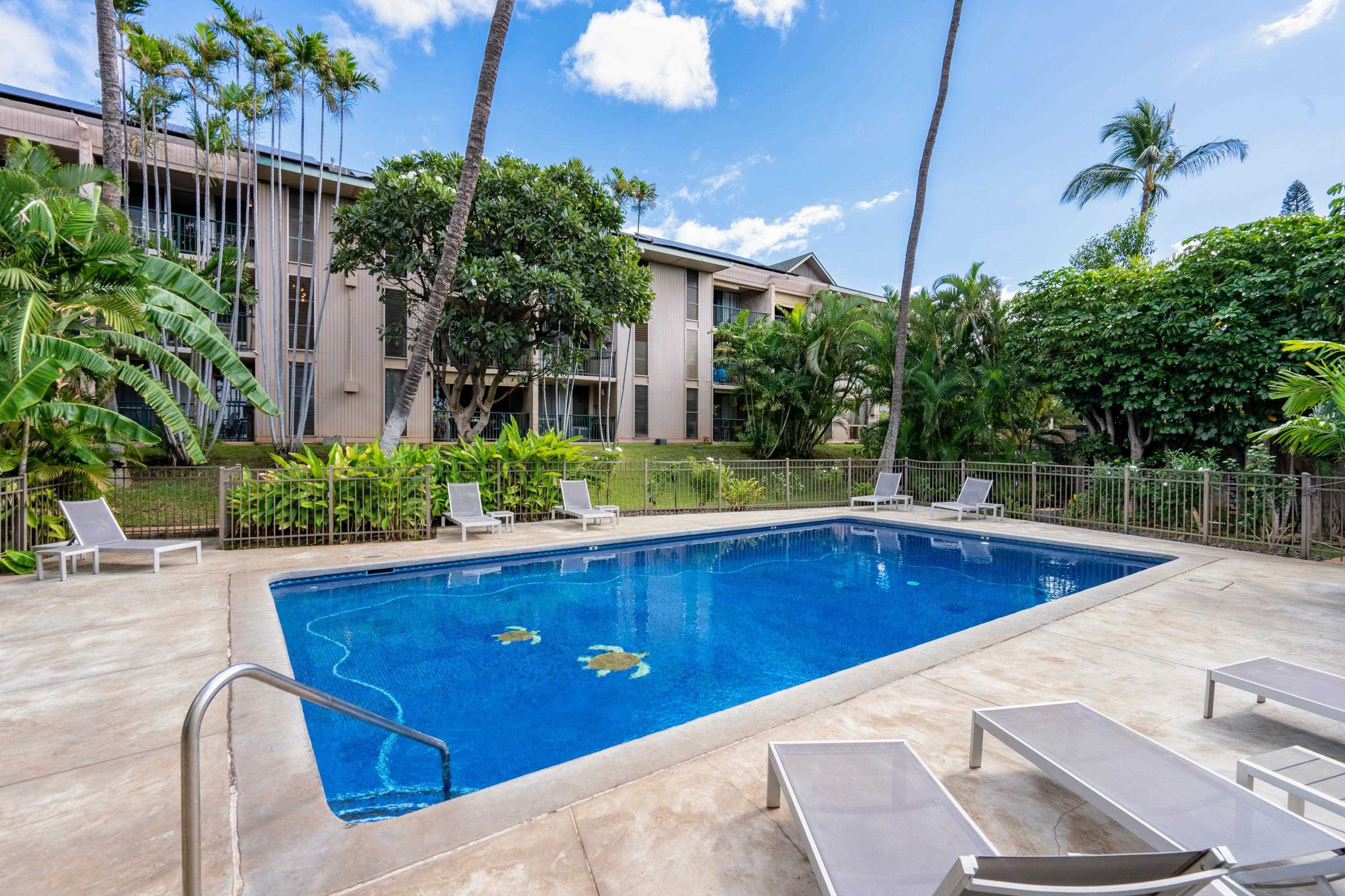 Kalama Terrace condo # P202, Kihei, Hawaii - photo 28 of 45