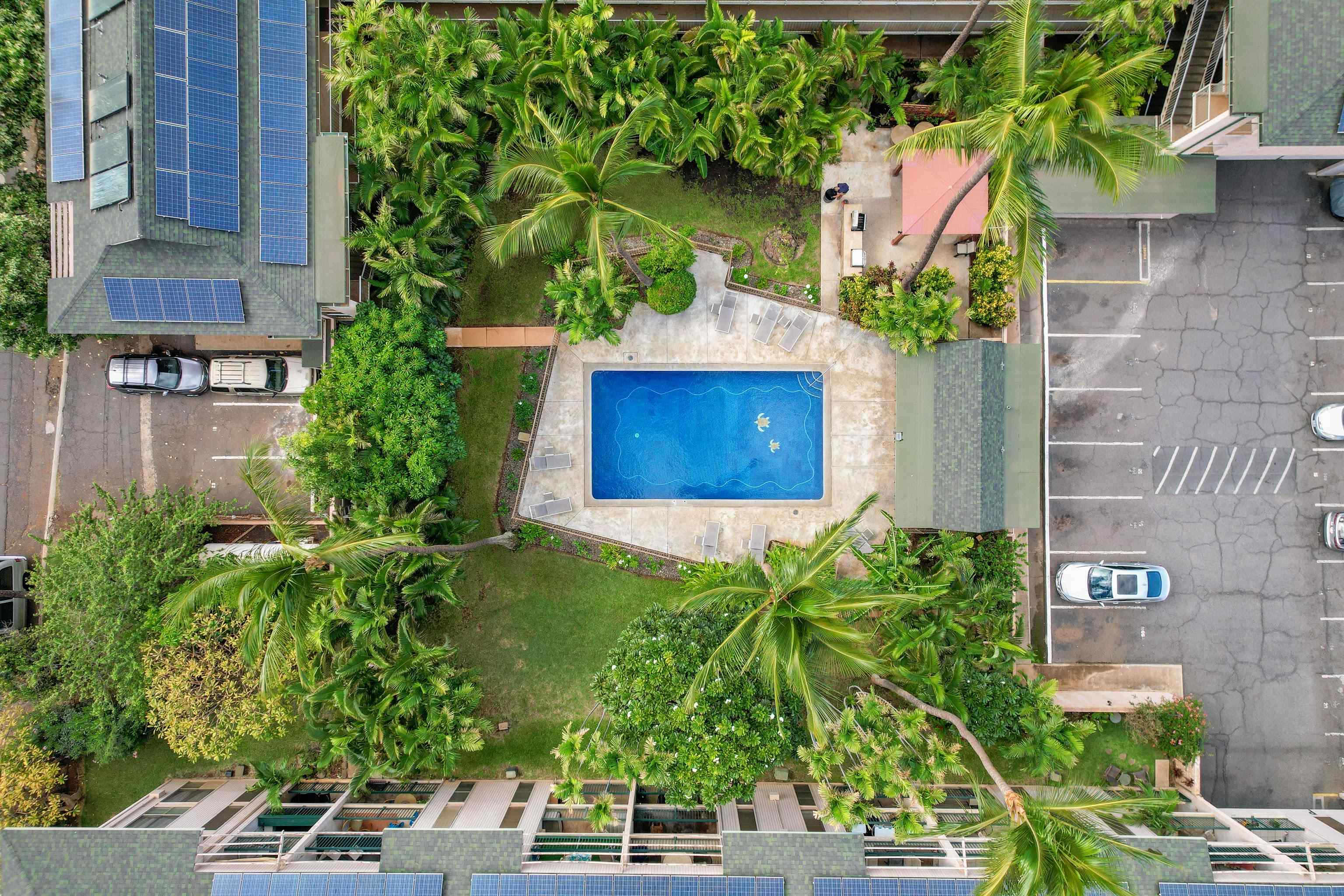 Kalama Terrace condo # P202, Kihei, Hawaii - photo 40 of 45