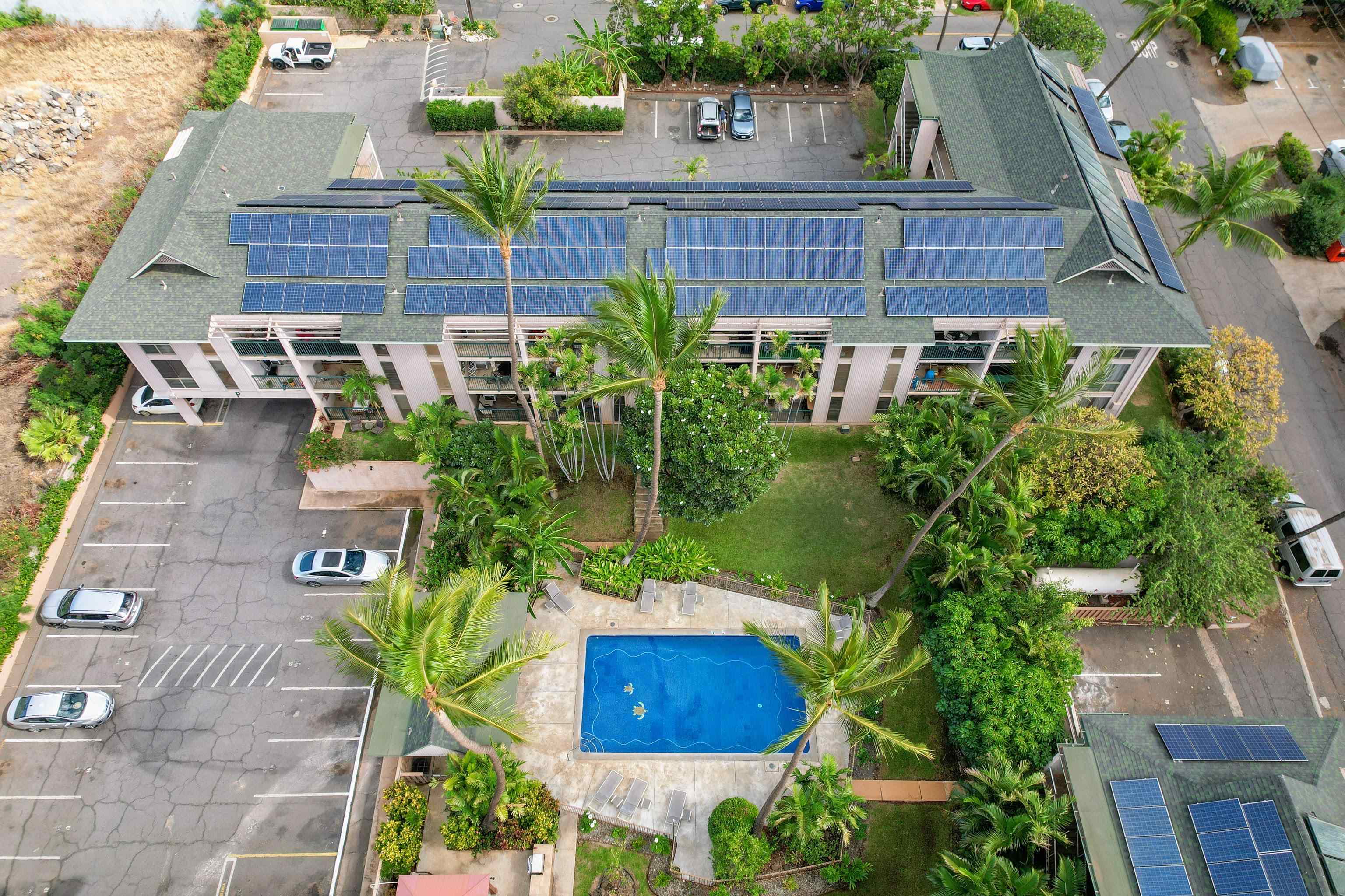 Kalama Terrace condo # P202, Kihei, Hawaii - photo 41 of 45