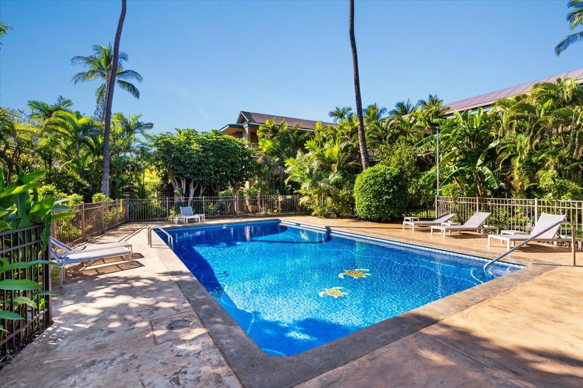 Kalama Terrace condo # P203, Kihei, Hawaii - photo 32 of 41