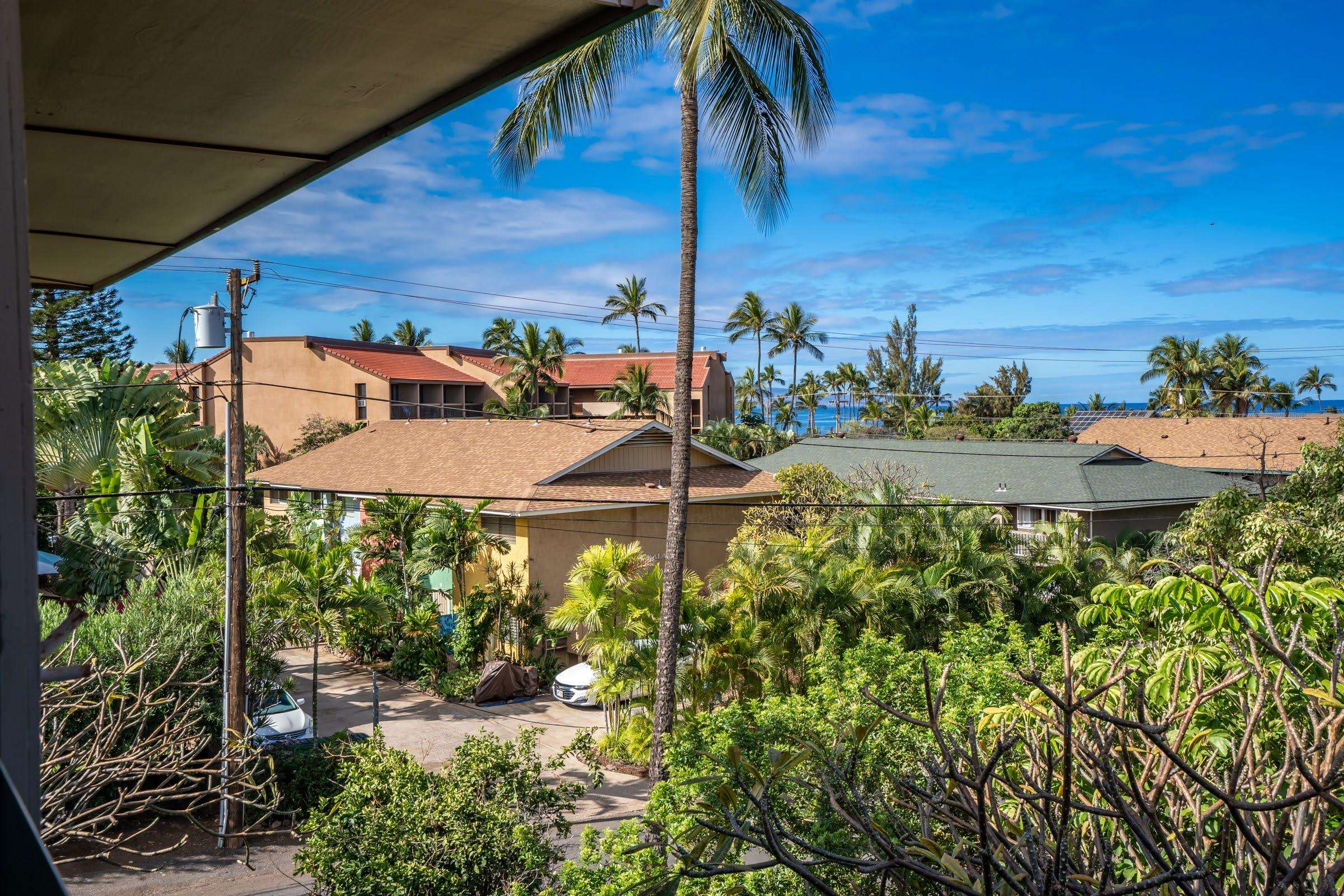 Kalama Terrace condo # P303, Kihei, Hawaii - photo 25 of 30