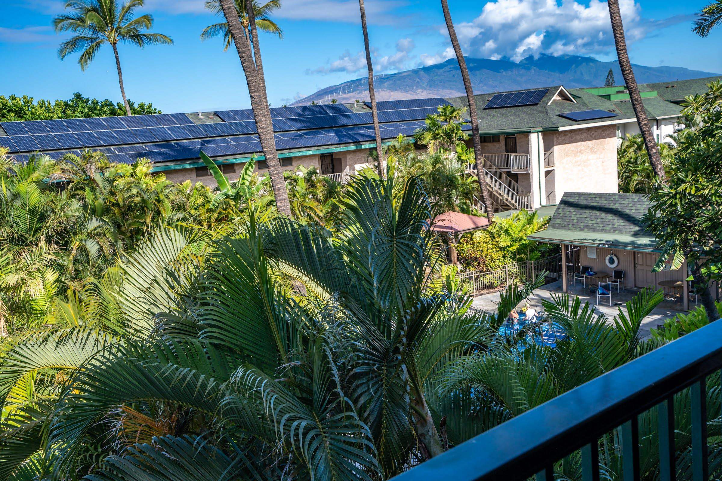 Kalama Terrace condo # P303, Kihei, Hawaii - photo 9 of 30