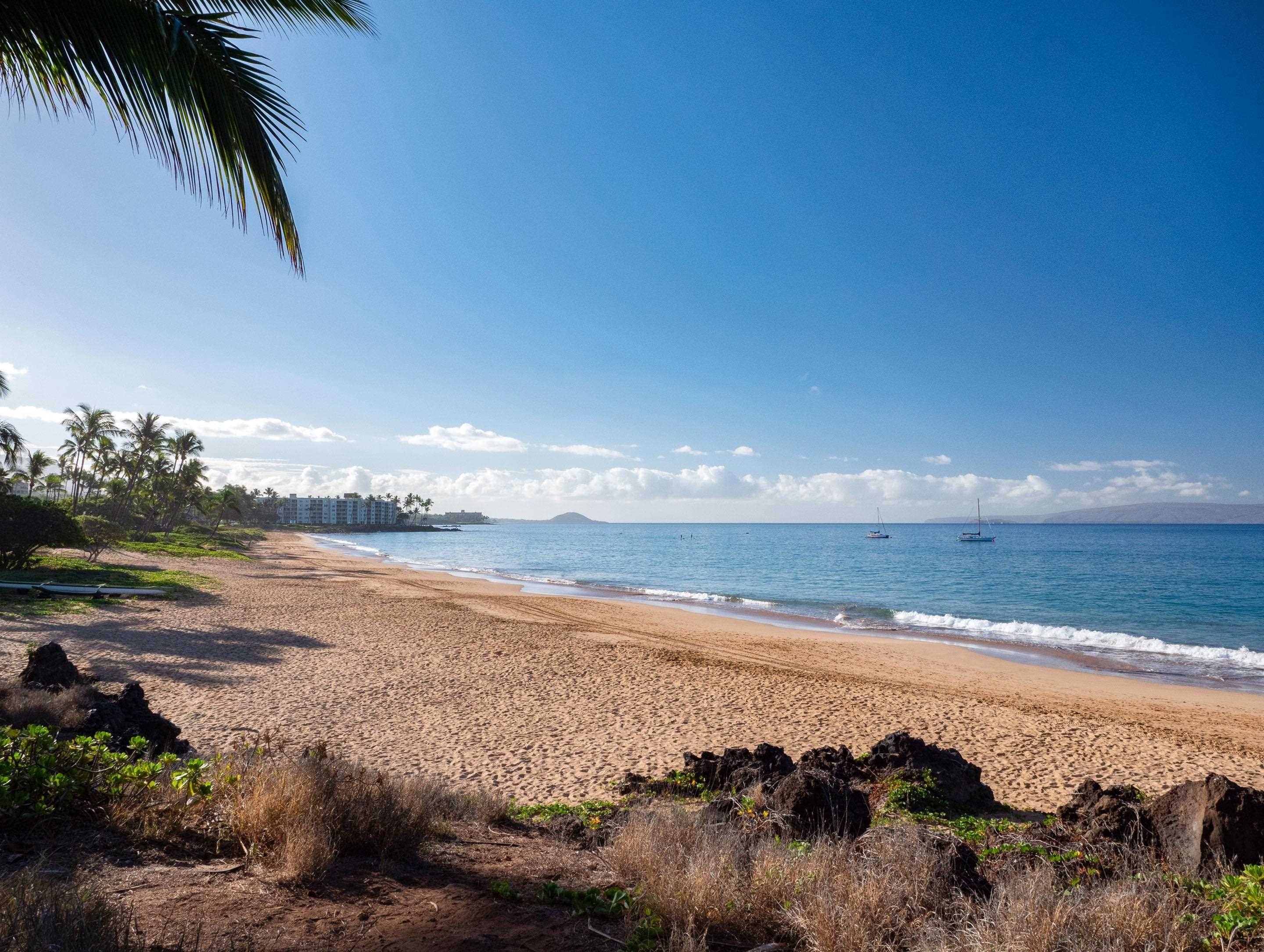 Kalama Terrace condo # P310, Kihei, Hawaii - photo 24 of 24