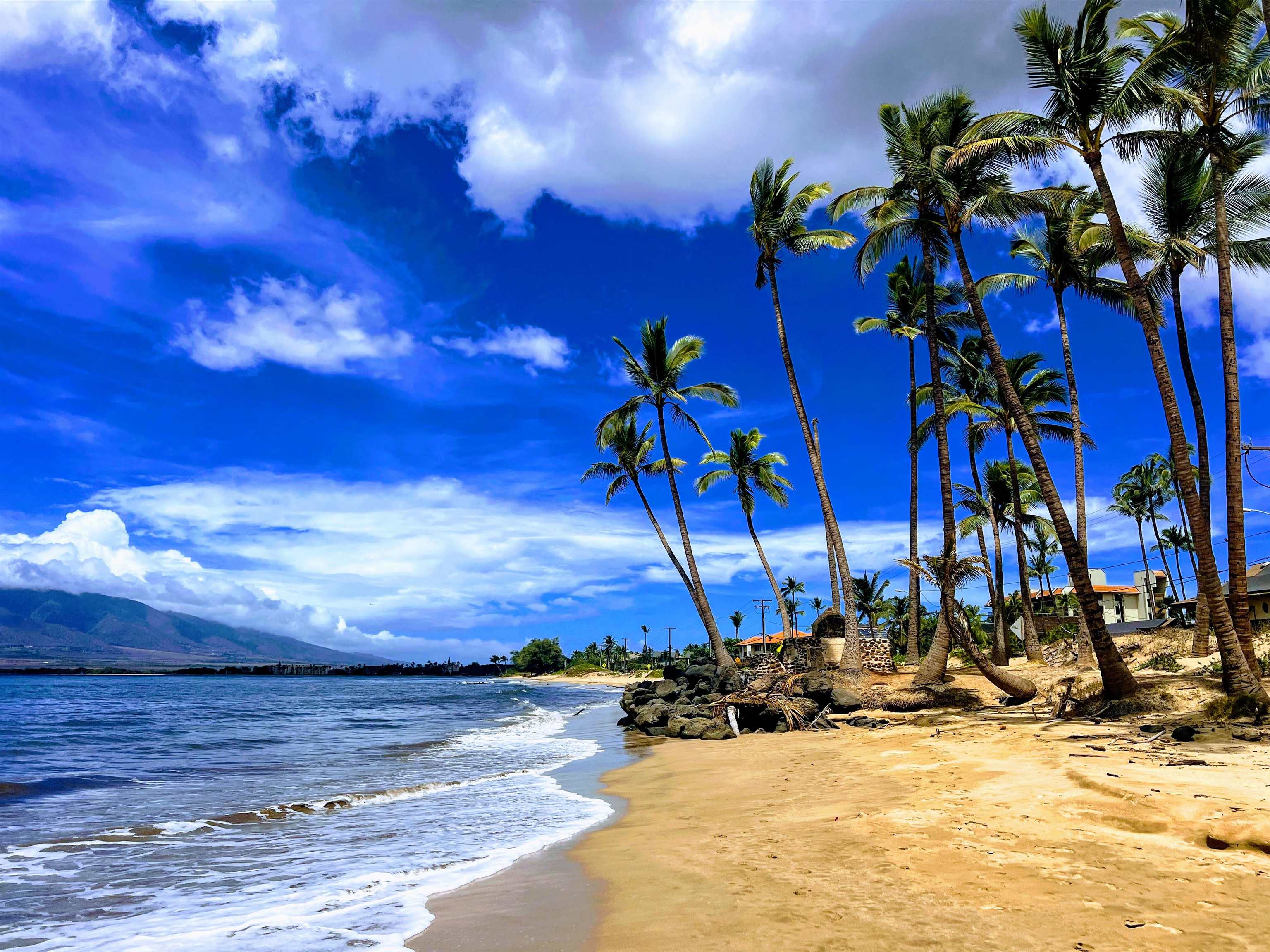 350  Kinaole Cir Kihei, Kihei home - photo 7 of 50