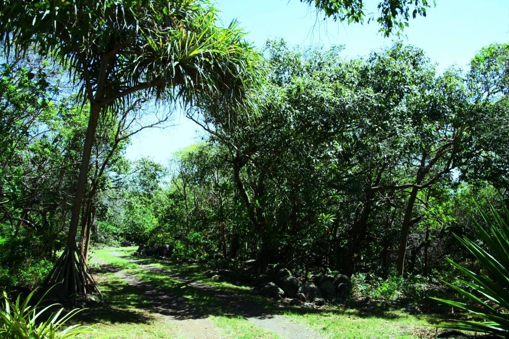 35006  Piilani Hwy , Kaupo home - photo 2 of 20