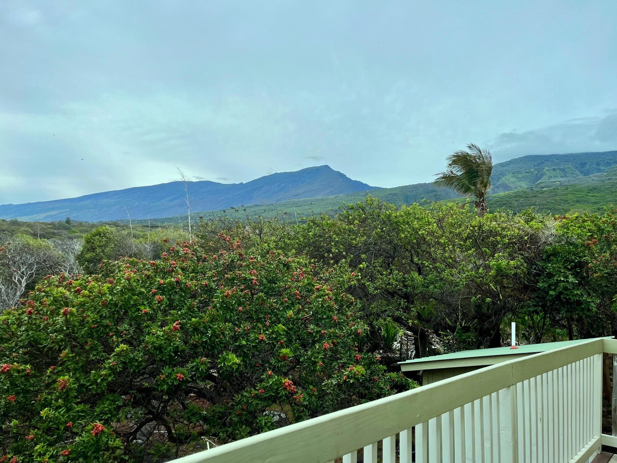 35006  Piilani Hwy , Kaupo home - photo 18 of 20