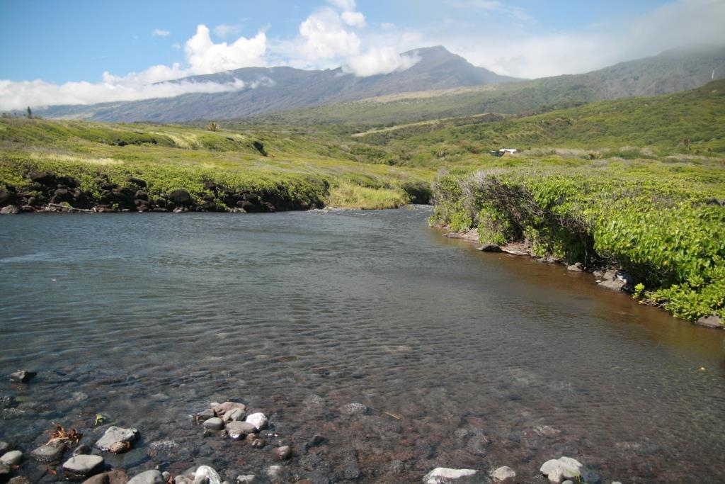 35006  Piilani Hwy , Kaupo home - photo 19 of 20