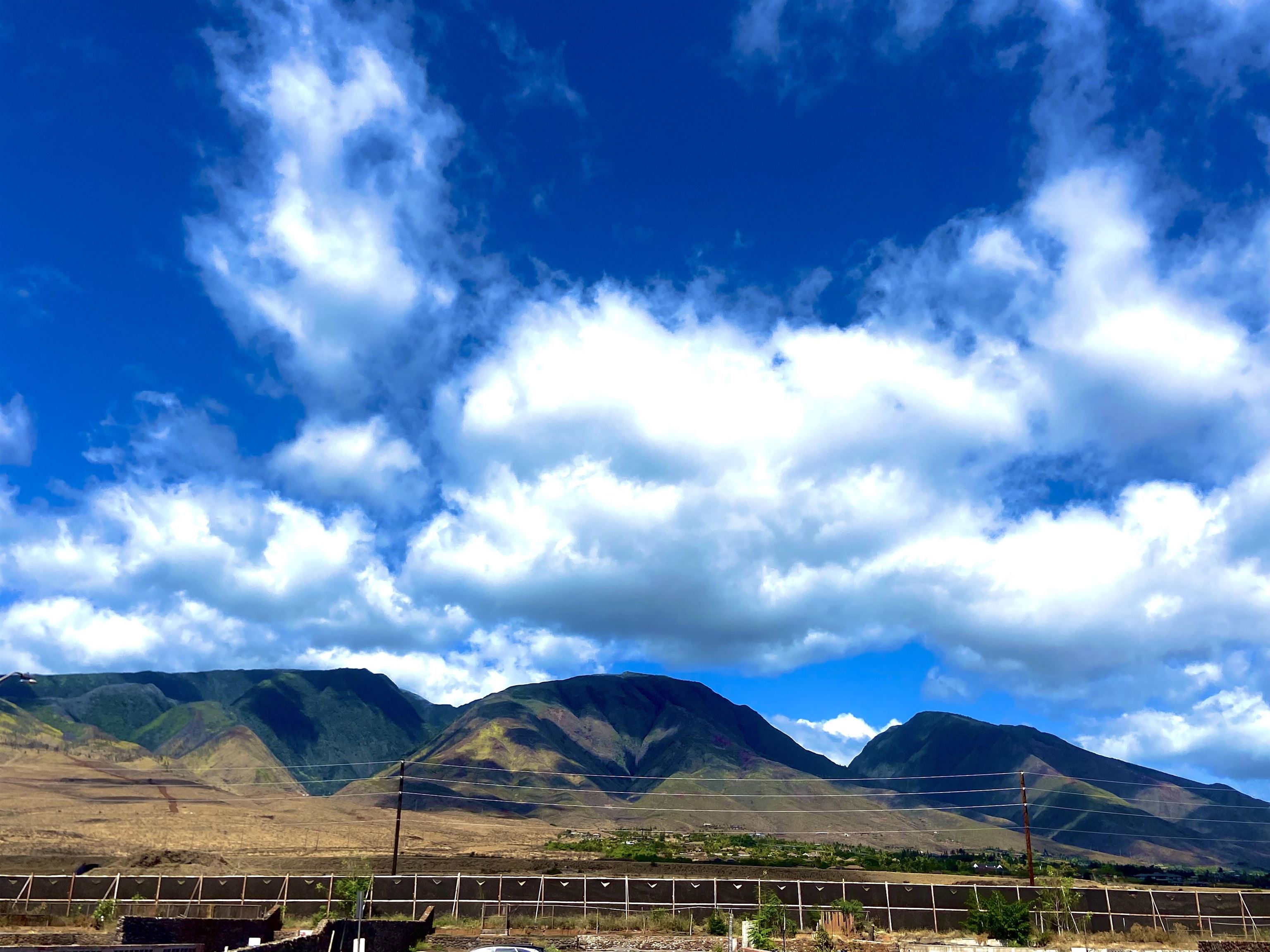 353 Aulike St  Lahaina, Hi vacant land for sale - photo 3 of 9