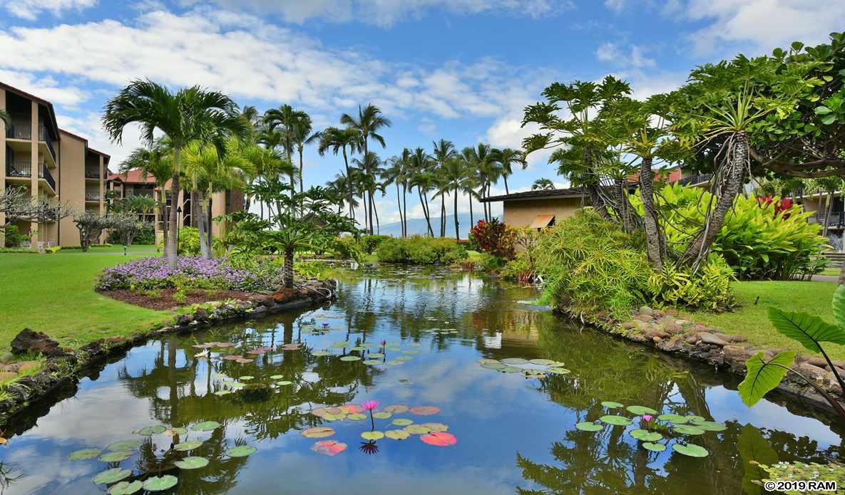 Papakea Resort I II condo # F309, Lahaina, Hawaii - photo 19 of 30