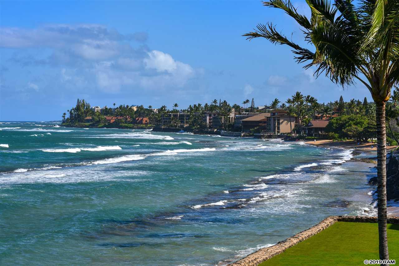 Papakea Resort I II condo # F309, Lahaina, Hawaii - photo 22 of 30