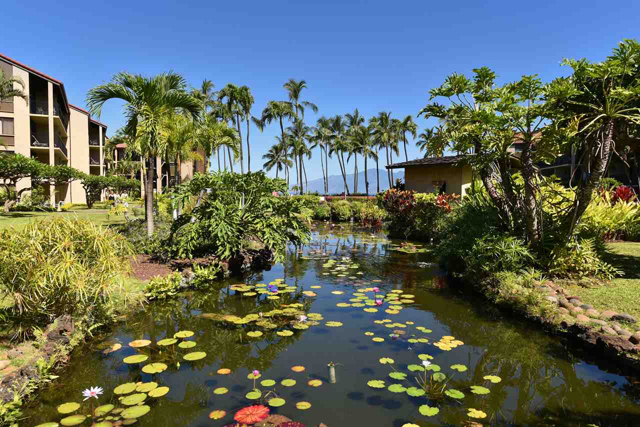 Papakea Resort I II condo # A101, Lahaina, Hawaii - photo 28 of 30