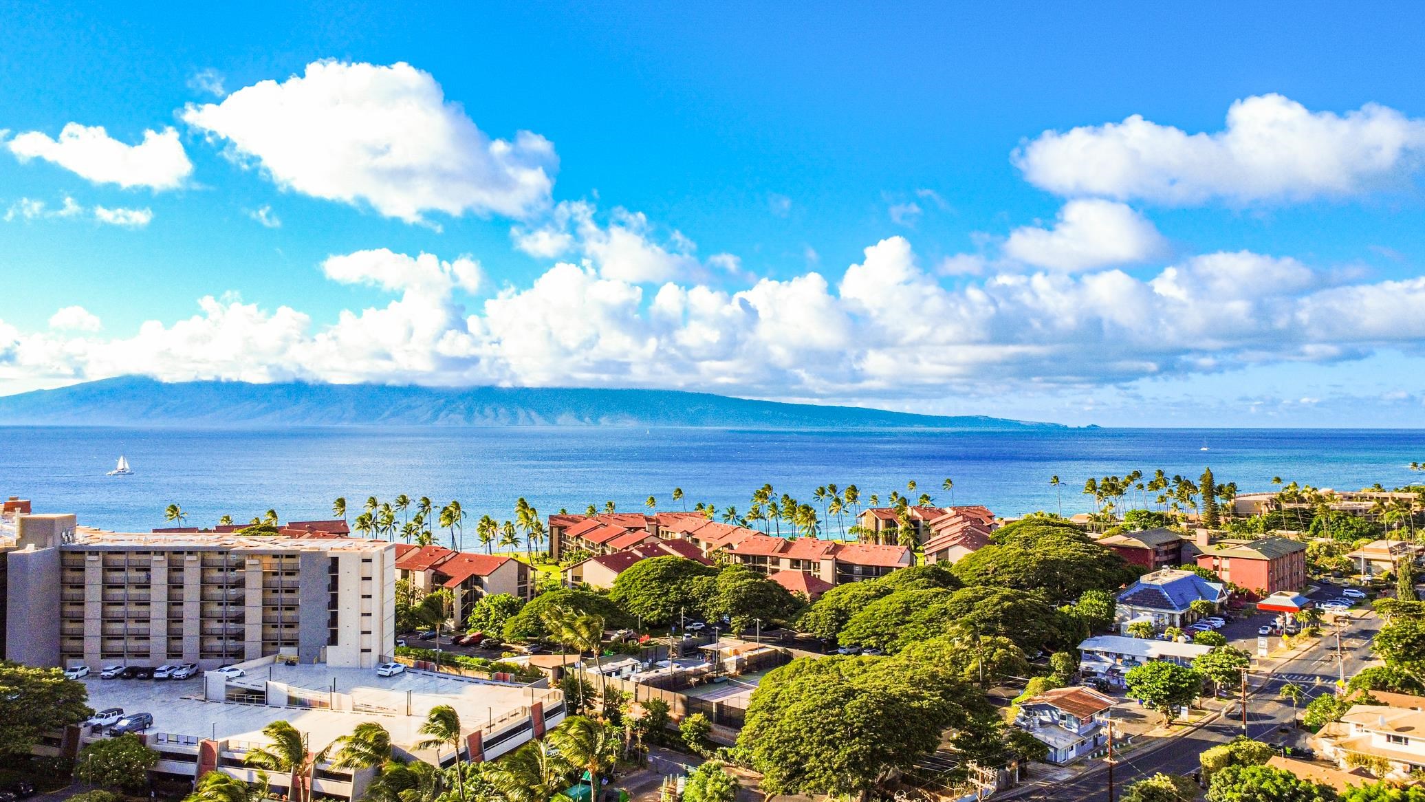 Papakea Resort I II condo # A206, Lahaina, Hawaii - photo 35 of 49