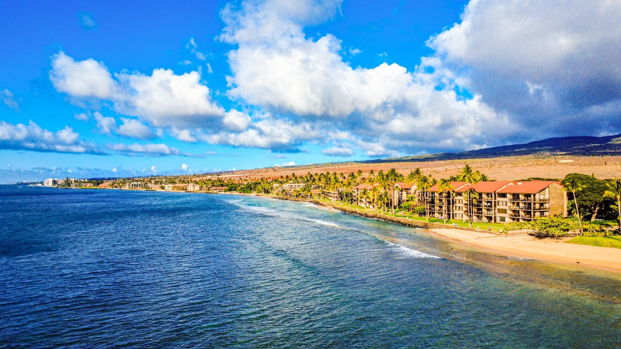 Papakea Resort I II condo # A206, Lahaina, Hawaii - photo 42 of 49