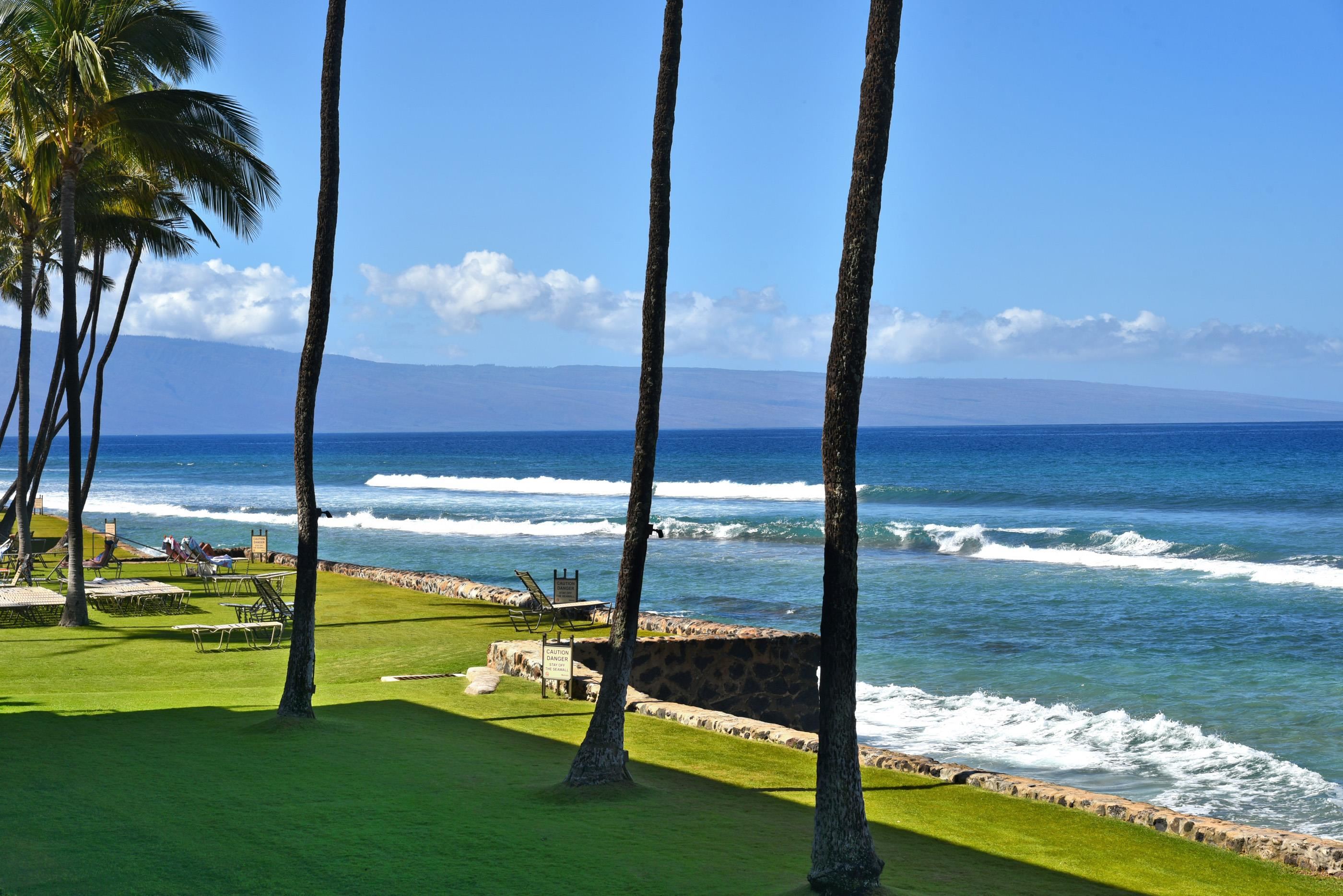 Papakea Resort I II condo # A209, Lahaina, Hawaii - photo 18 of 48