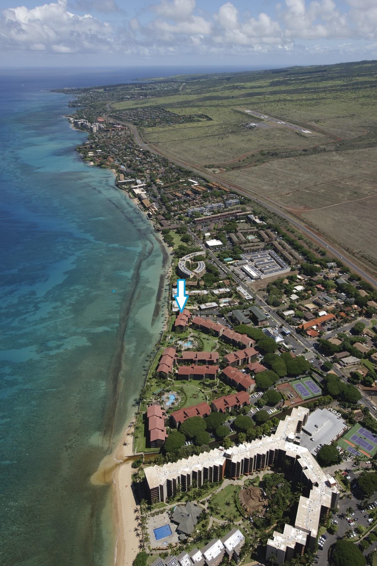 Papakea Resort I II condo # A209, Lahaina, Hawaii - photo 31 of 48