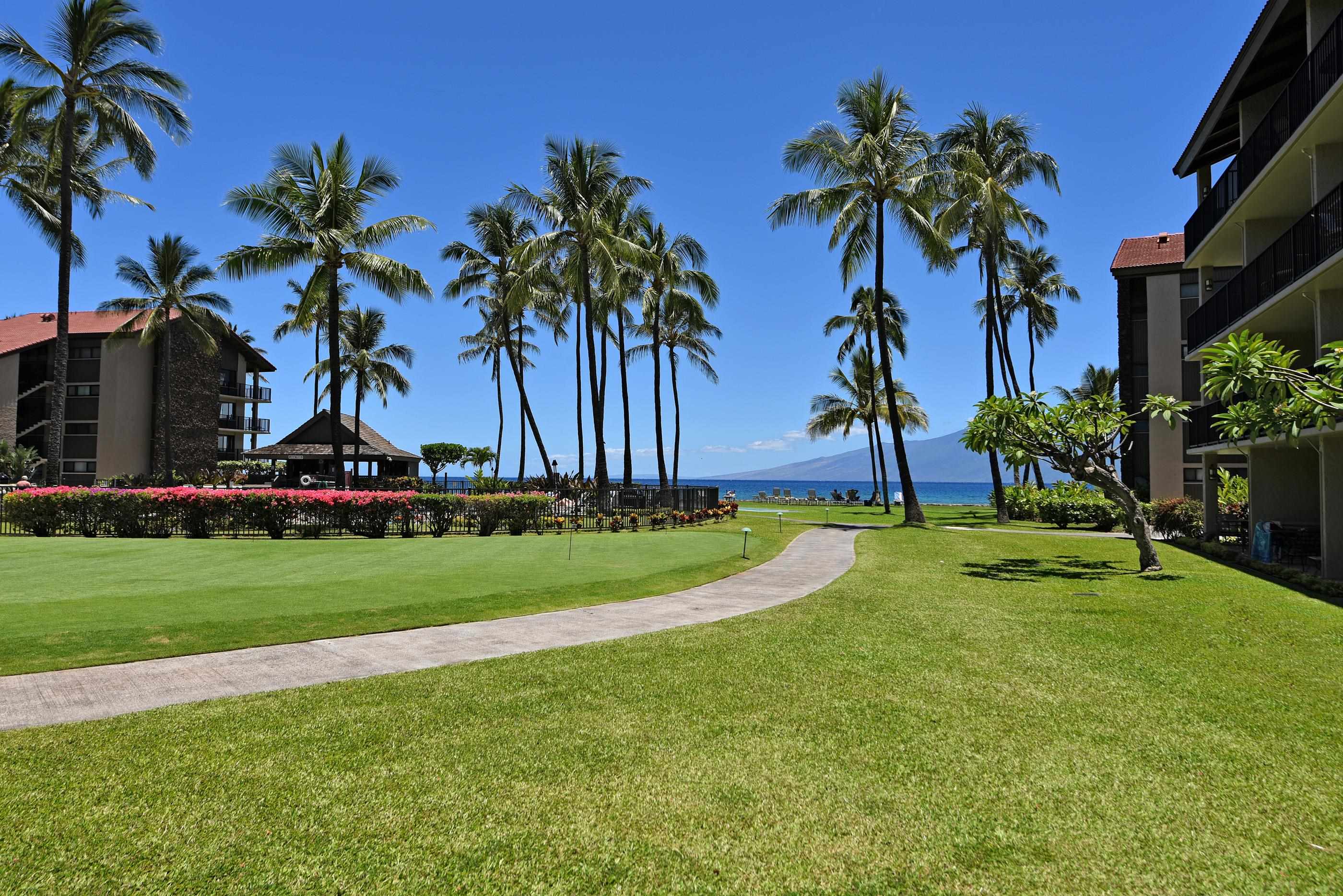 Papakea Resort I II condo # A209, Lahaina, Hawaii - photo 33 of 48