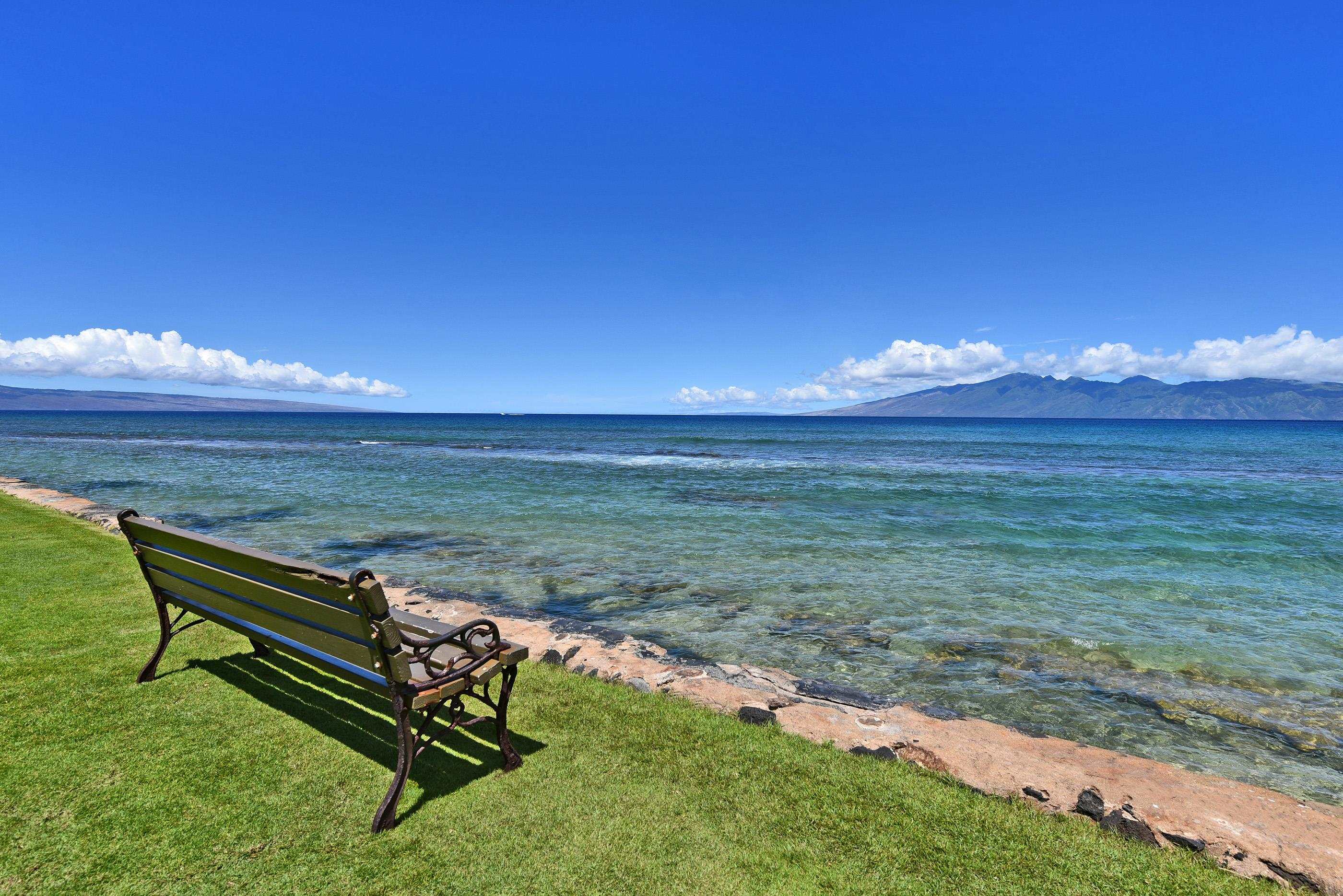 Papakea Resort I II condo # A209, Lahaina, Hawaii - photo 37 of 48