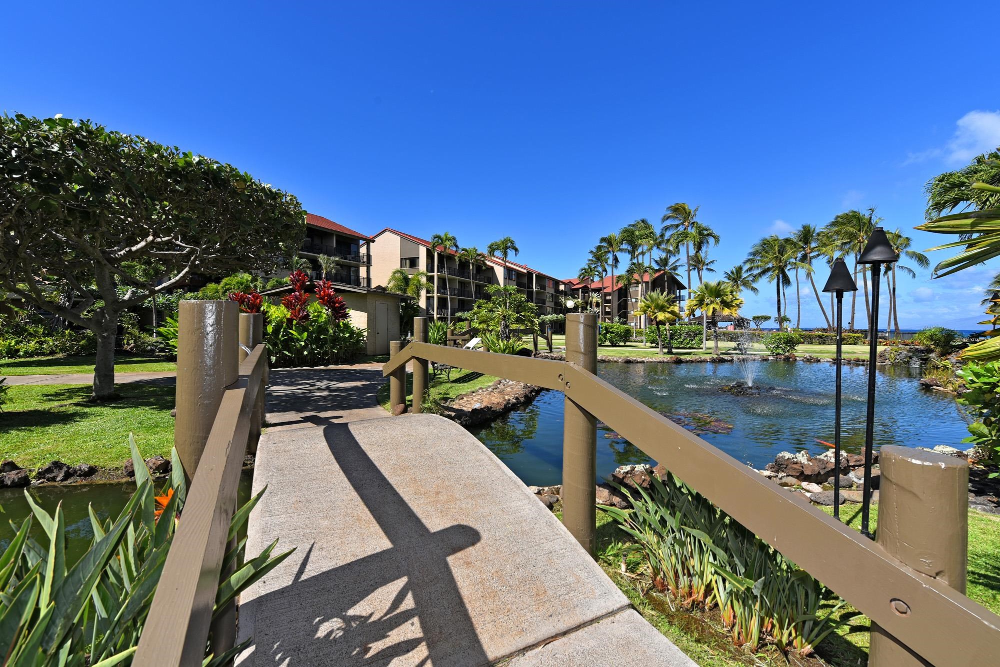 Papakea Resort I II condo # A209, Lahaina, Hawaii - photo 41 of 48