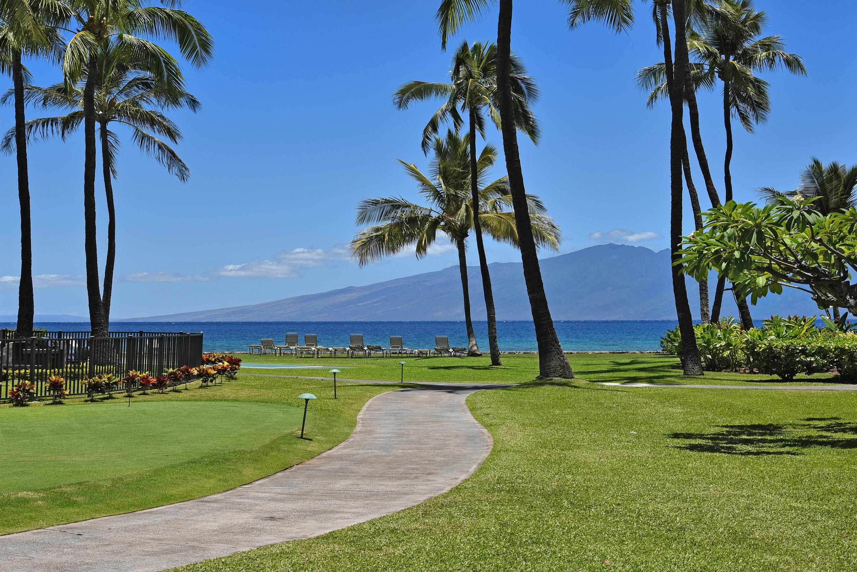 Papakea Resort I II condo # A209, Lahaina, Hawaii - photo 44 of 48
