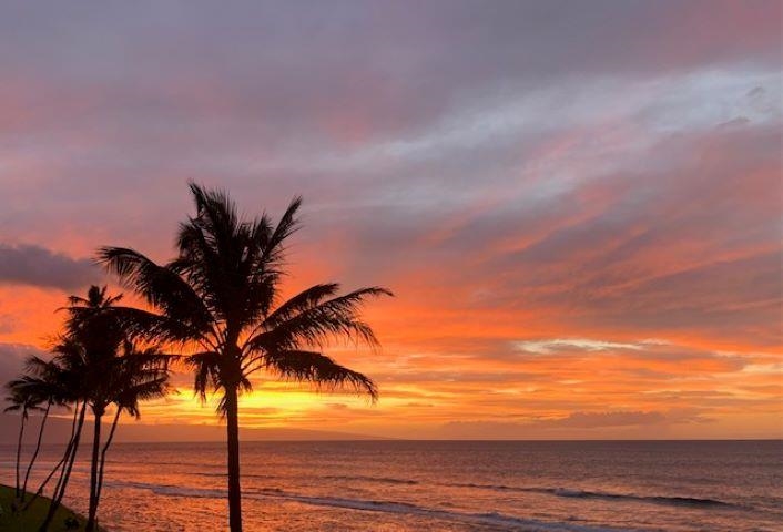 Papakea Resort I II condo # A-301, Lahaina, Hawaii - photo 22 of 36