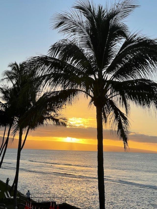 Papakea Resort I II condo # A-301, Lahaina, Hawaii - photo 32 of 36