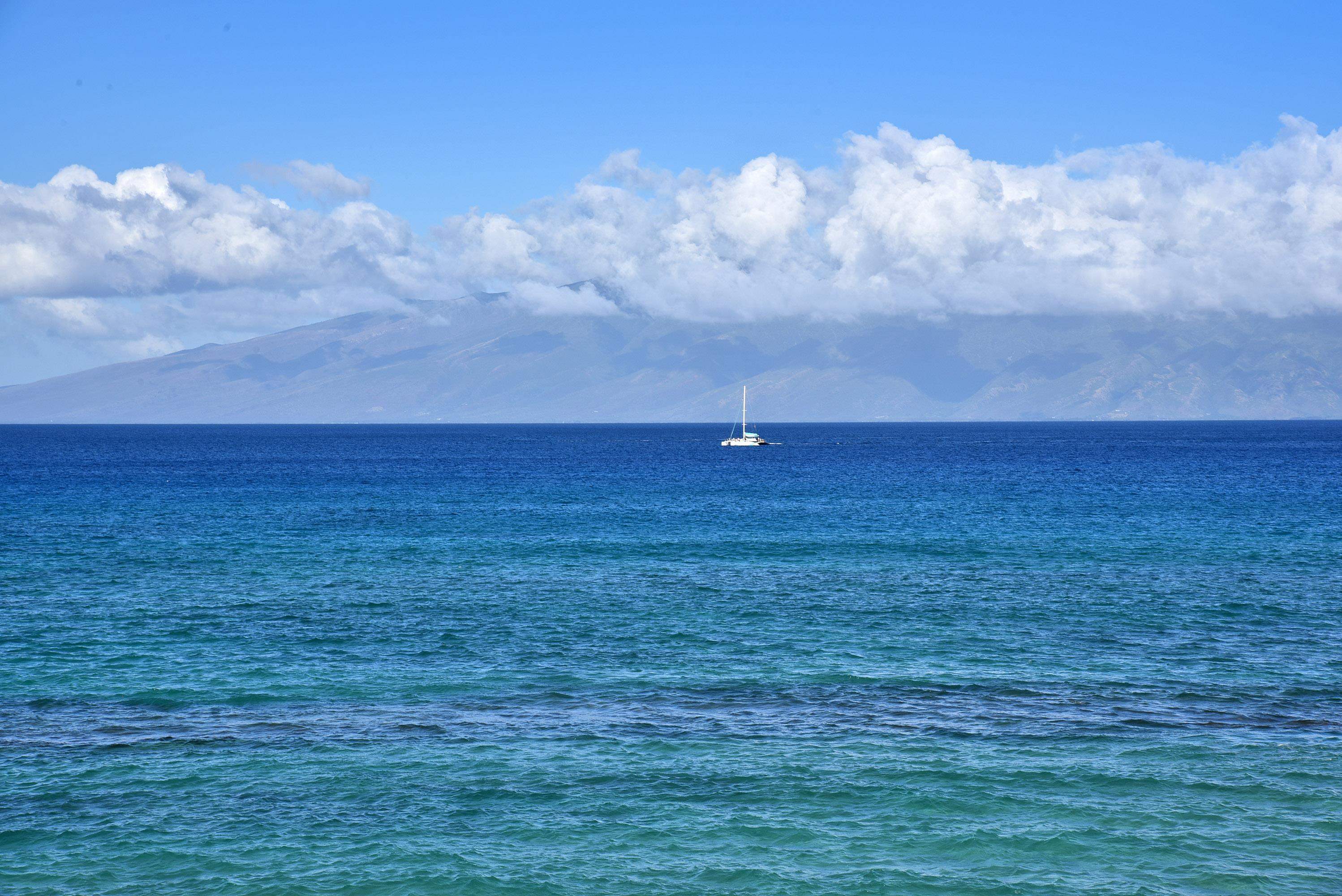 Papakea Resort I II condo # A307, Lahaina, Hawaii - photo 47 of 48