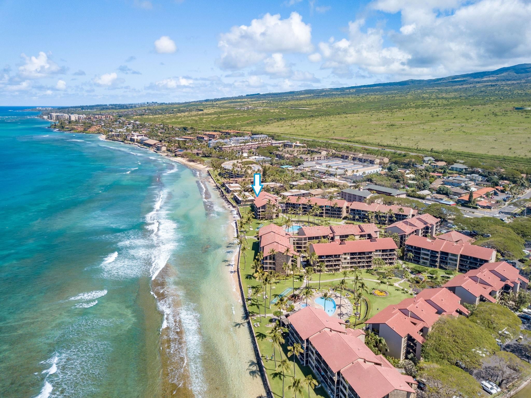 Papakea Resort I II condo # A307, Lahaina, Hawaii - photo 48 of 48