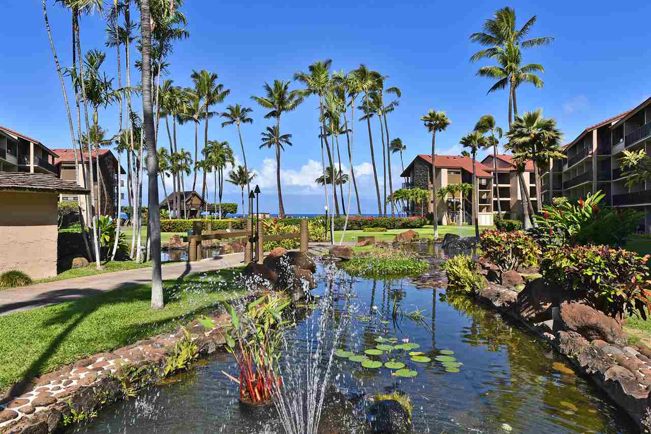 Papakea Resort I II condo # B101, Lahaina, Hawaii - photo 27 of 30