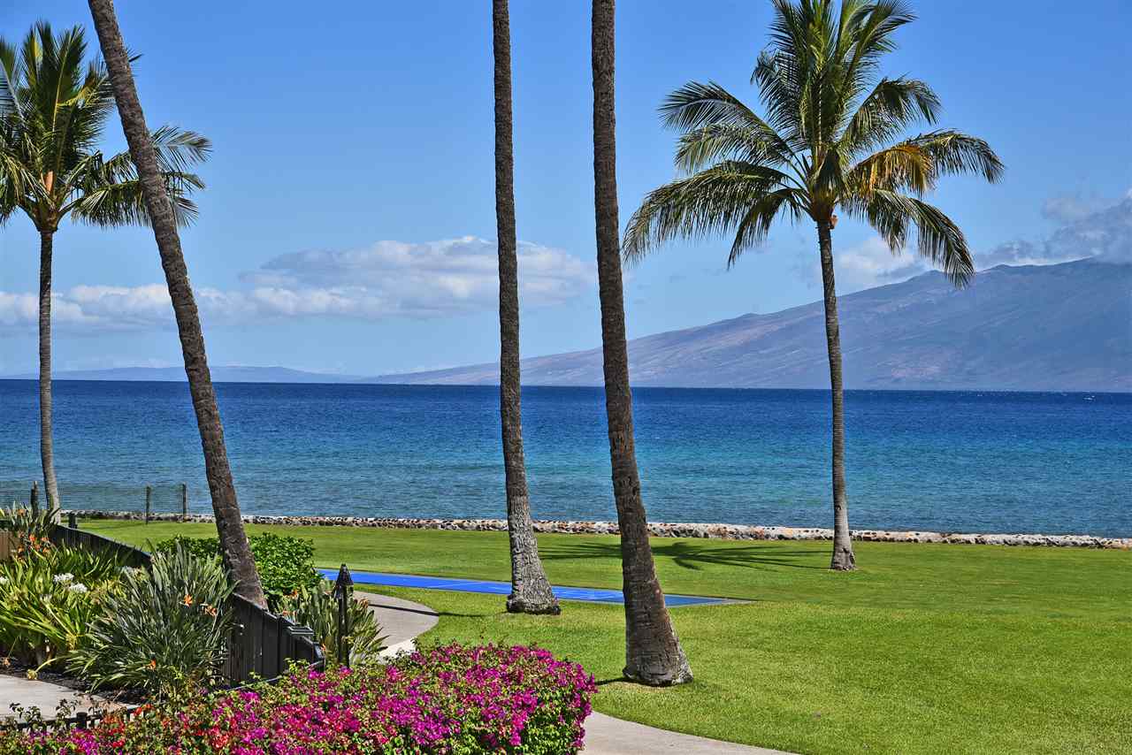 Papakea Resort I II condo # B204, Lahaina, Hawaii - photo 27 of 30