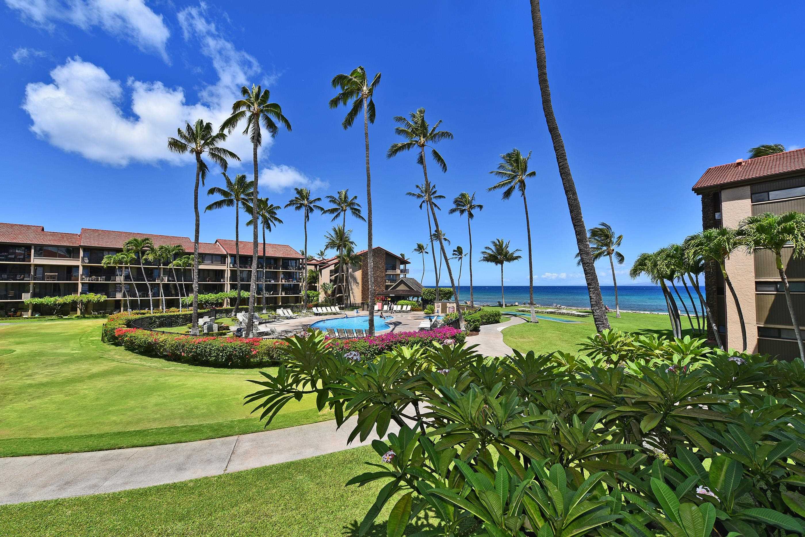 Papakea Resort I II condo # B207, Lahaina, Hawaii - photo 23 of 38