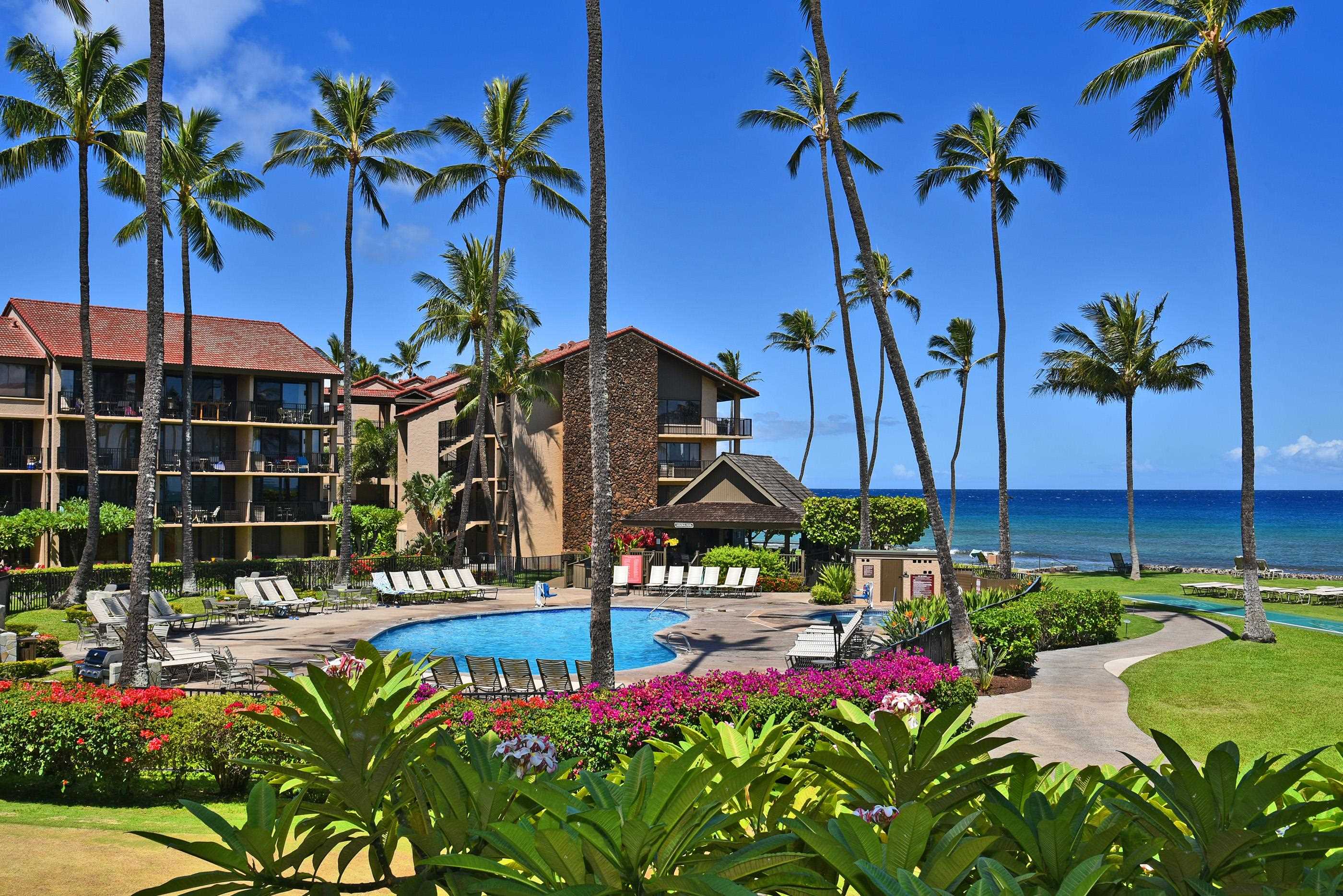 Papakea Resort I II condo # B207, Lahaina, Hawaii - photo 24 of 38