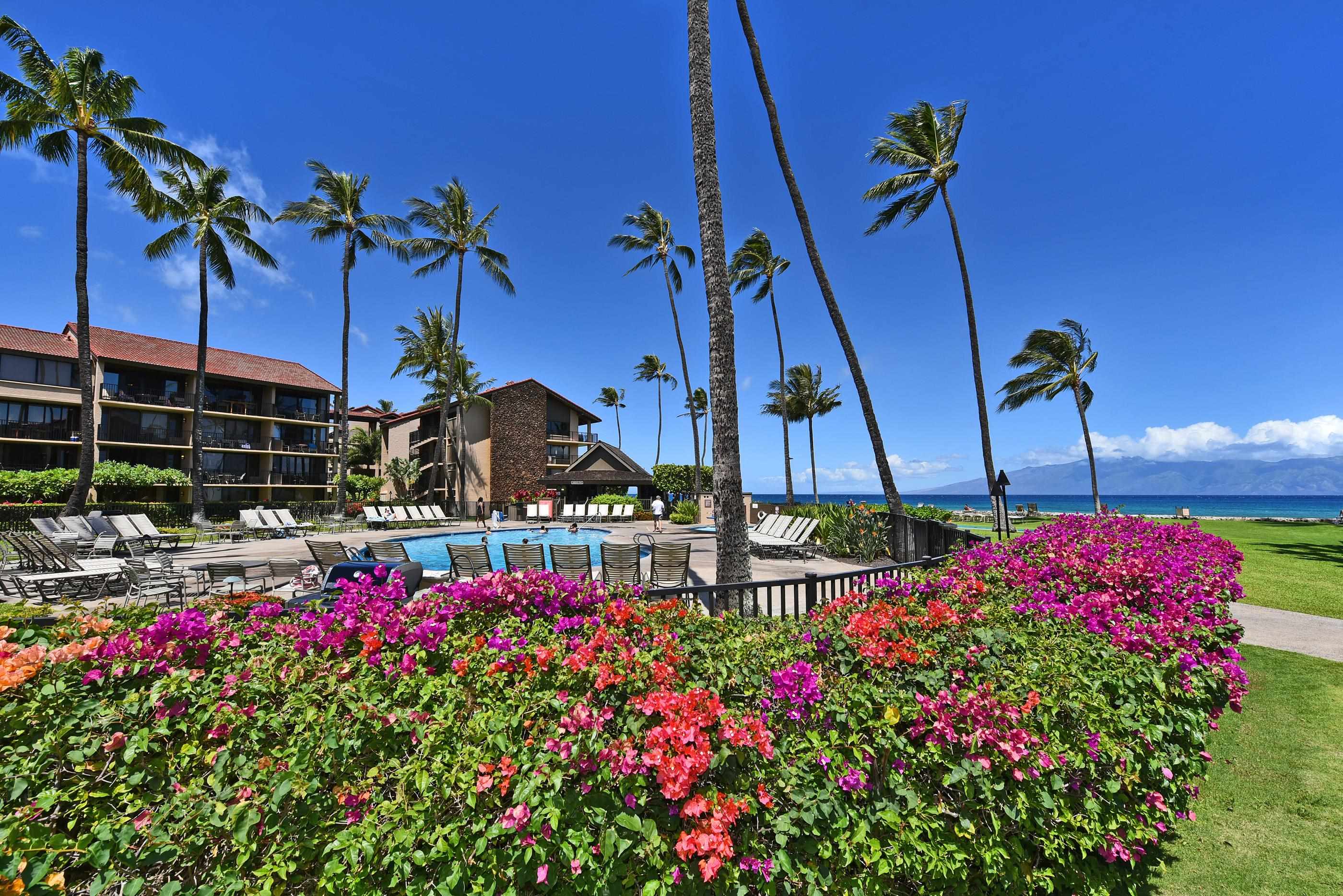 Papakea Resort I II condo # B207, Lahaina, Hawaii - photo 25 of 38